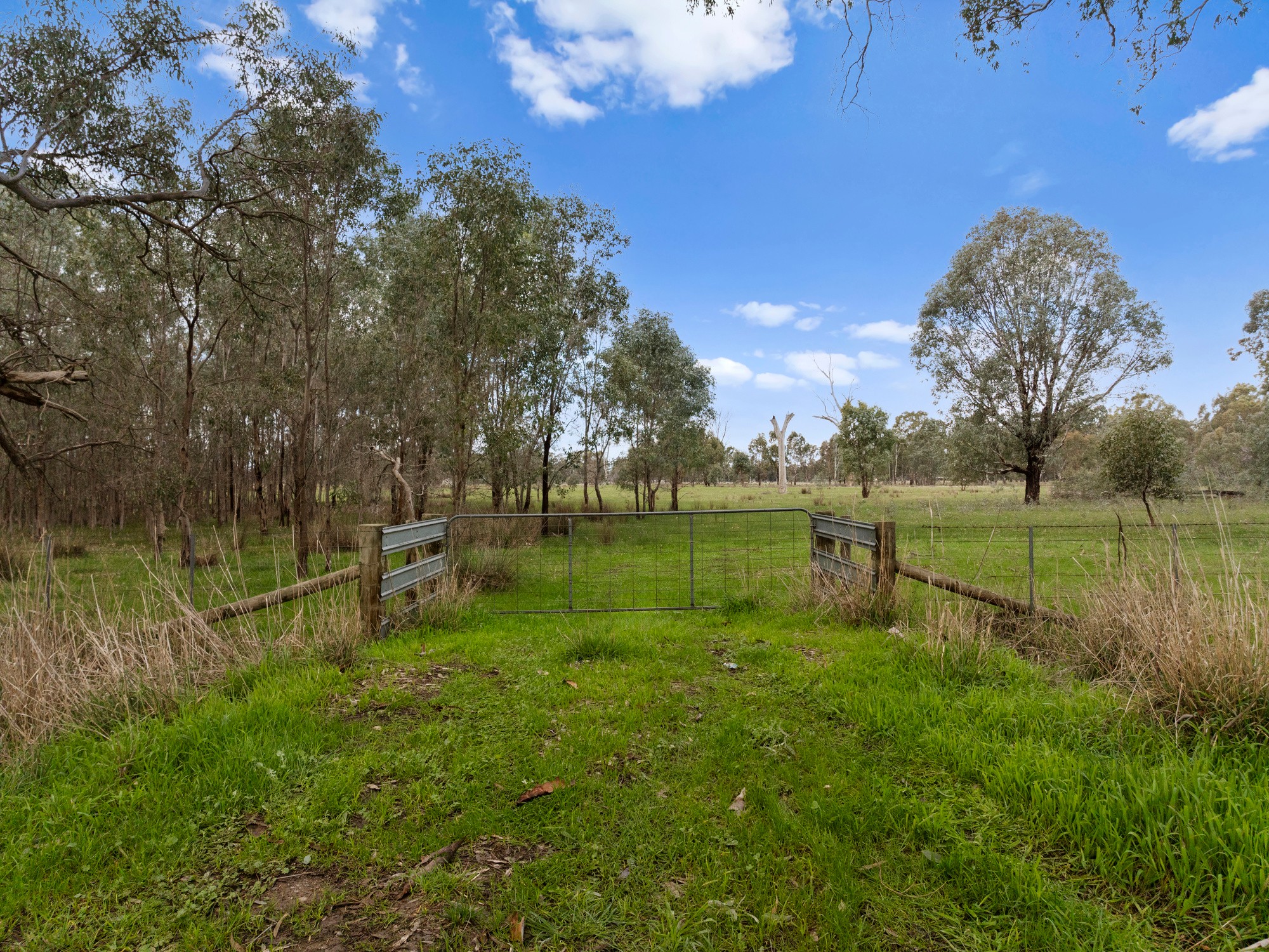 CA29 Golden Vale Road, Benalla, VIC 3672