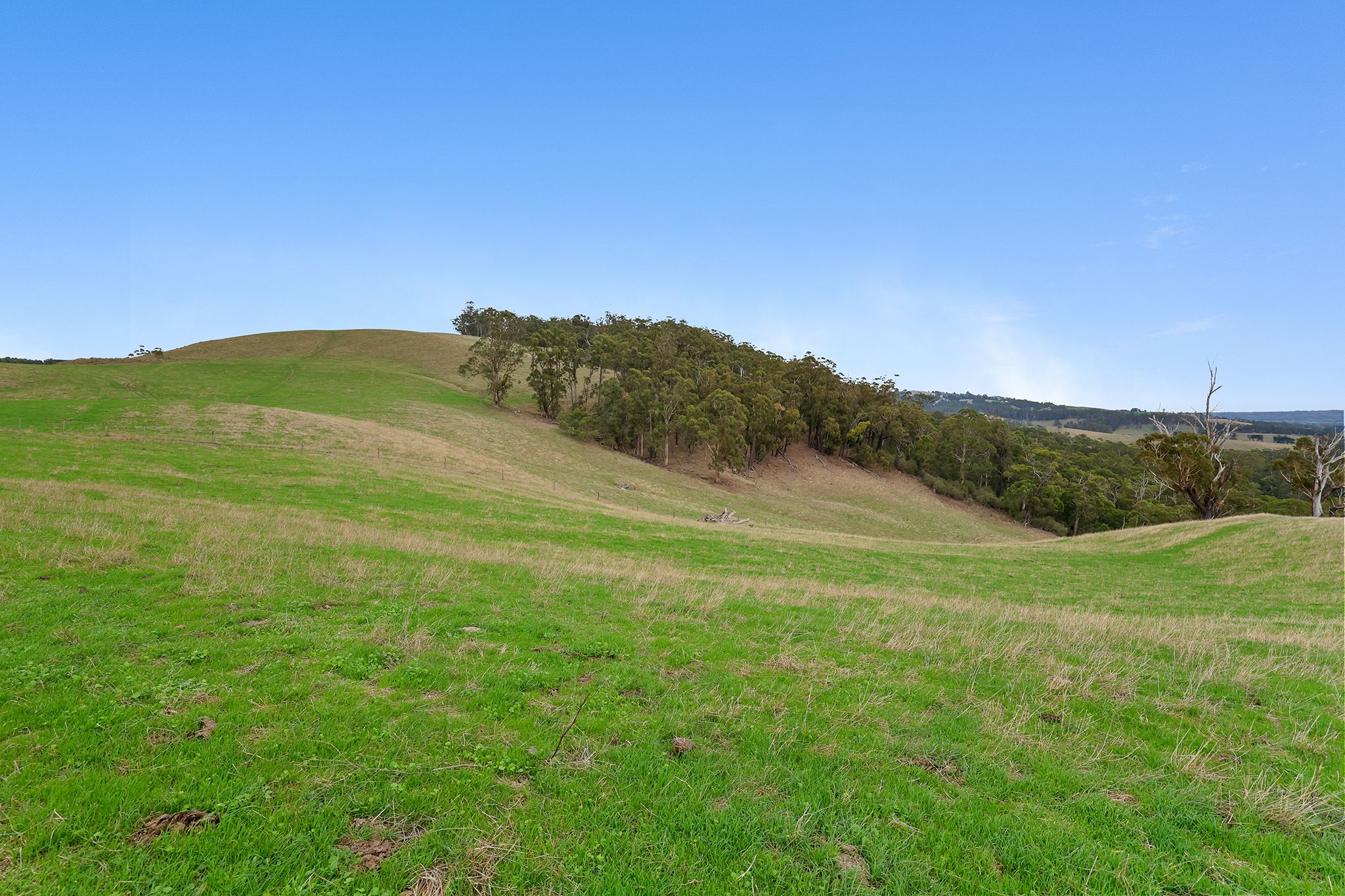 Lot 2/244 Mirboo North - Trafalgar Road,, Trafalgar, VIC 3824