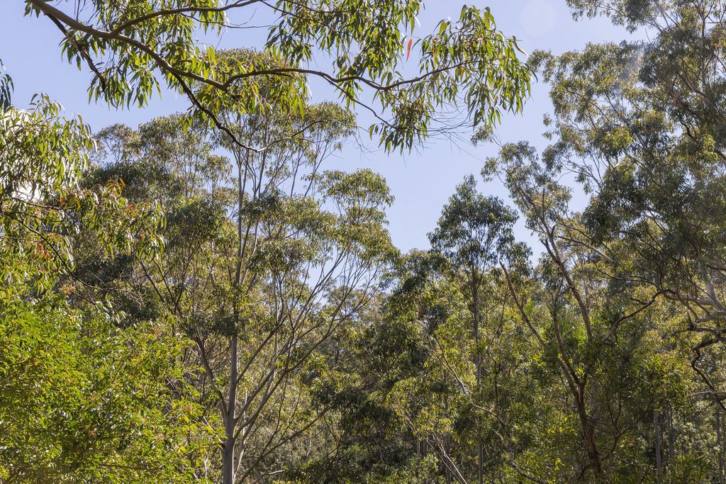 Lot 1 Post Office Road — photo 10 of 17