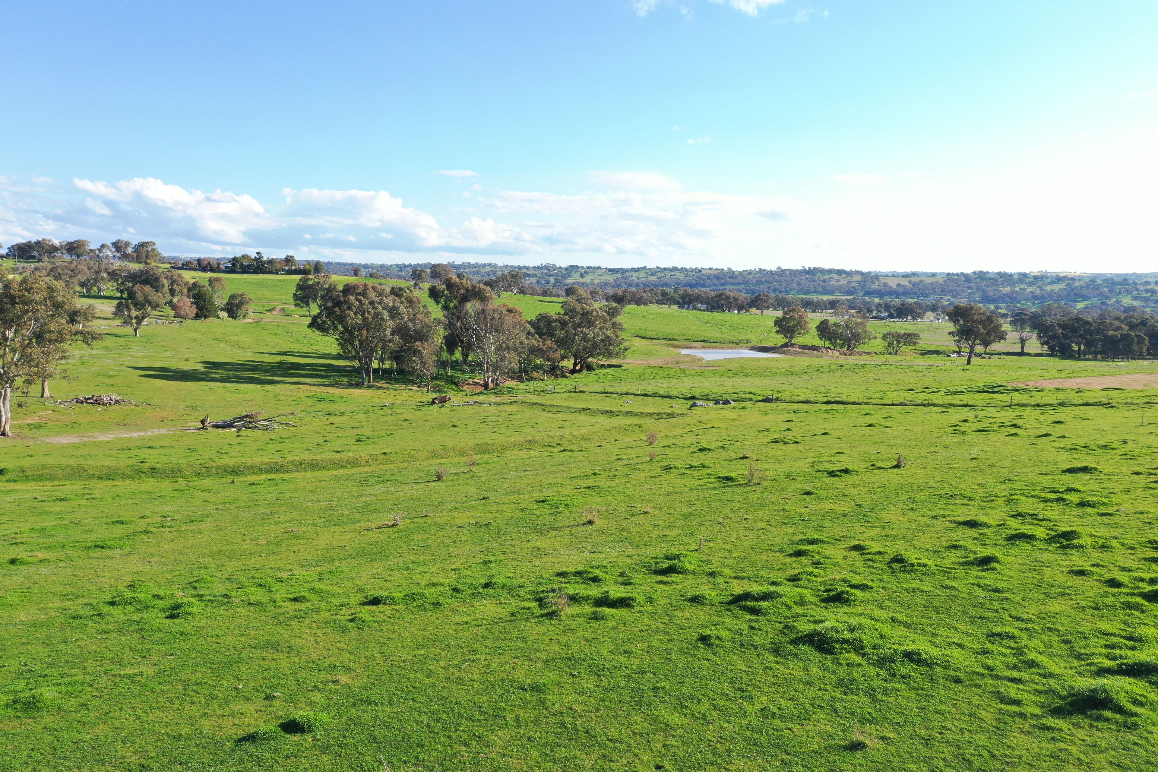 453 Henry Lawson Way — photo 6 of 8