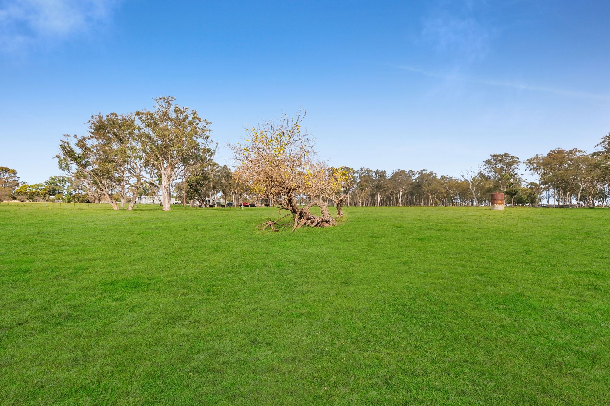 25 Scroggies Road, Thirlmere, NSW 2572 Acreage/SemiRural for Sale