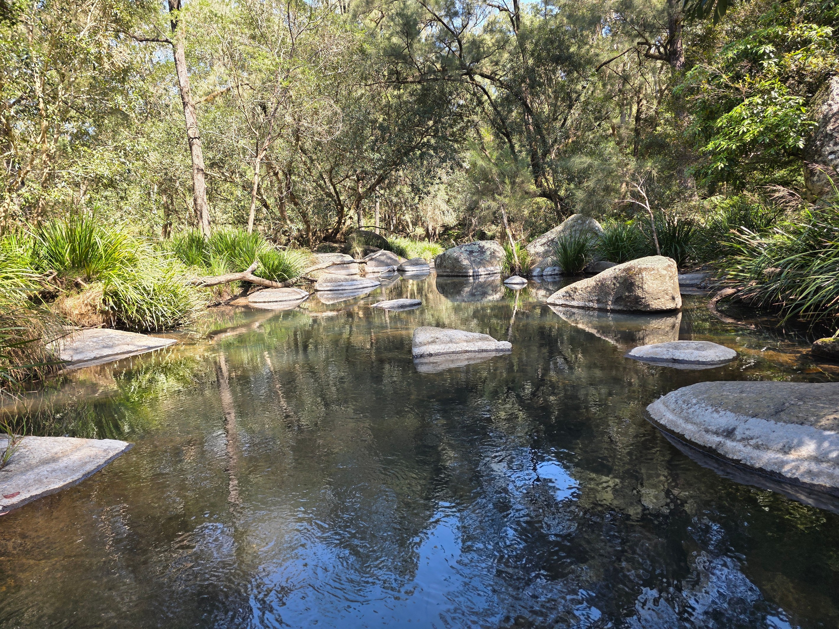 Sandy Hill, NSW 2372