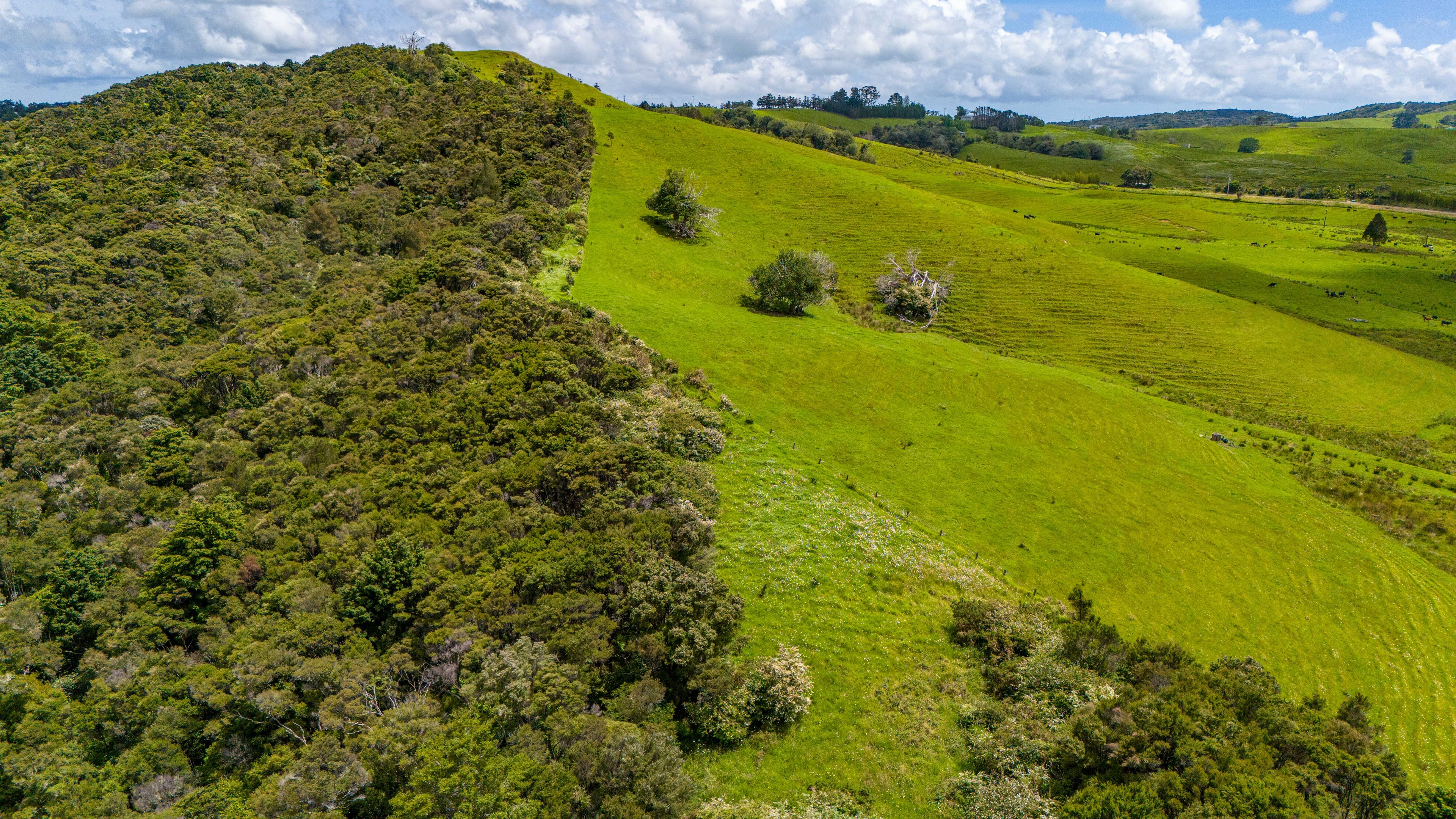 201 Clough Road, Kaitaia, Far North District