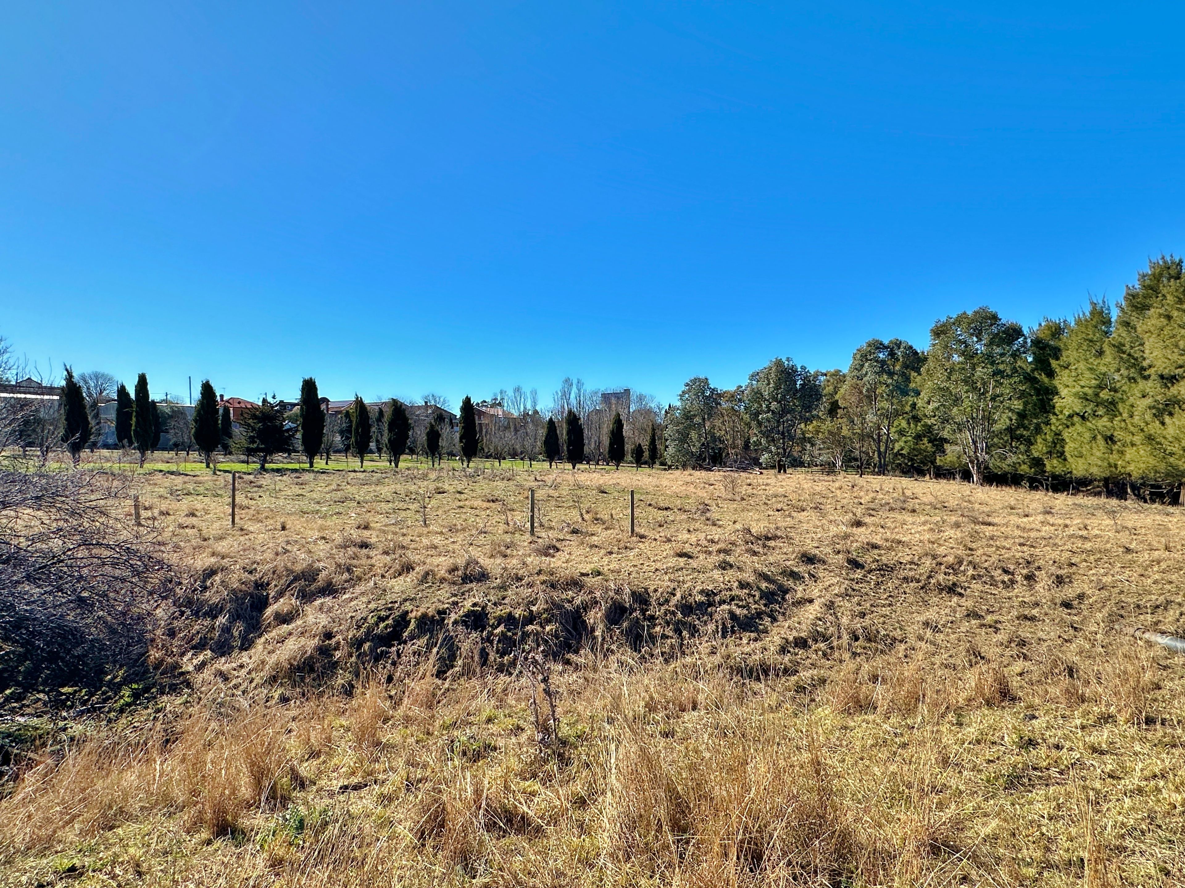 Lot 11 & 12 Binalong Street, Harden, NSW 2587 Land for Sale Ray