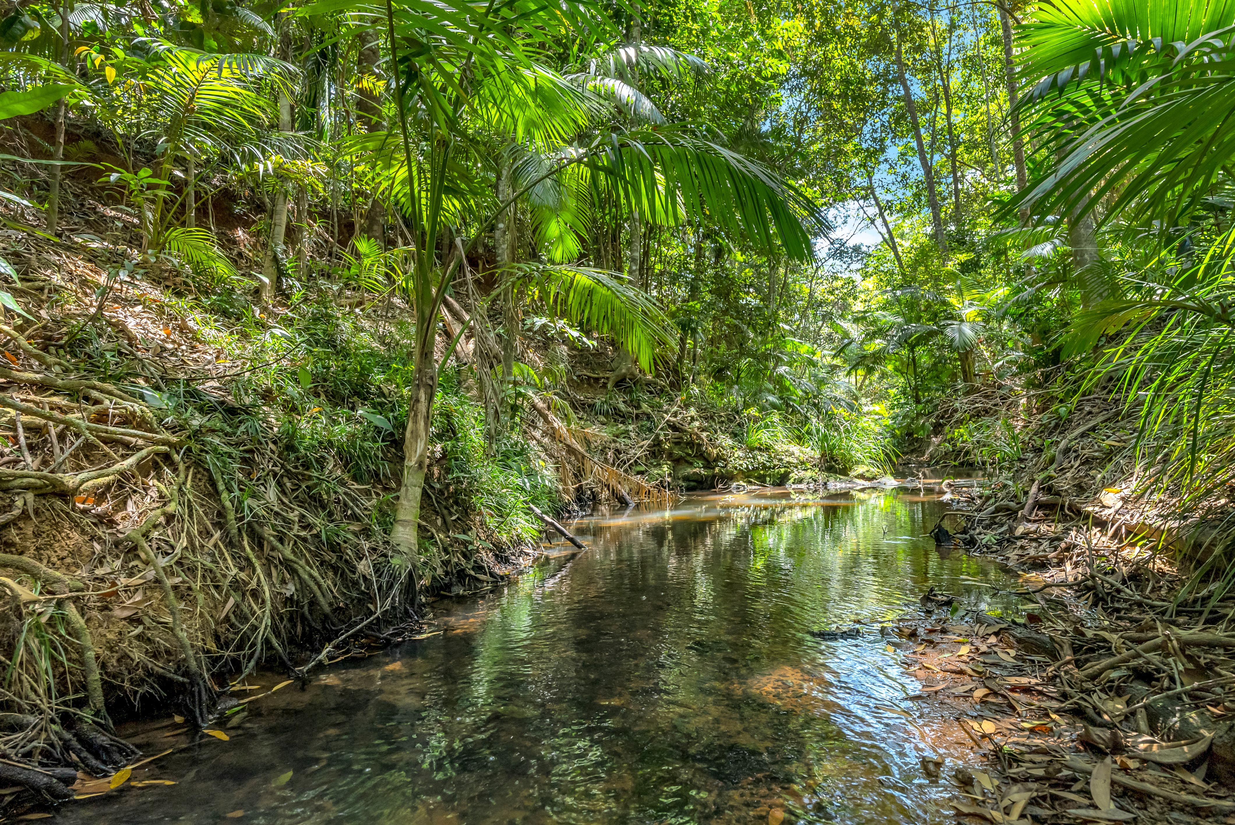 32 Masons Road, Kuranda, QLD 4881