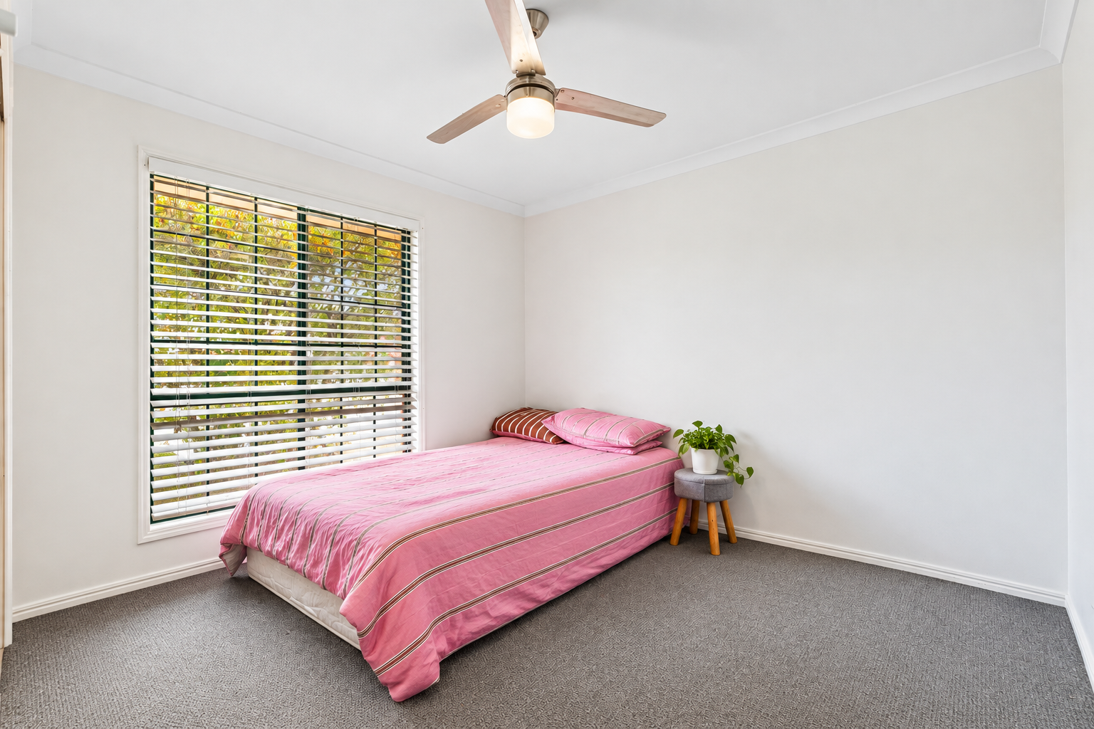 7 Craig Street — photo 7 of 13