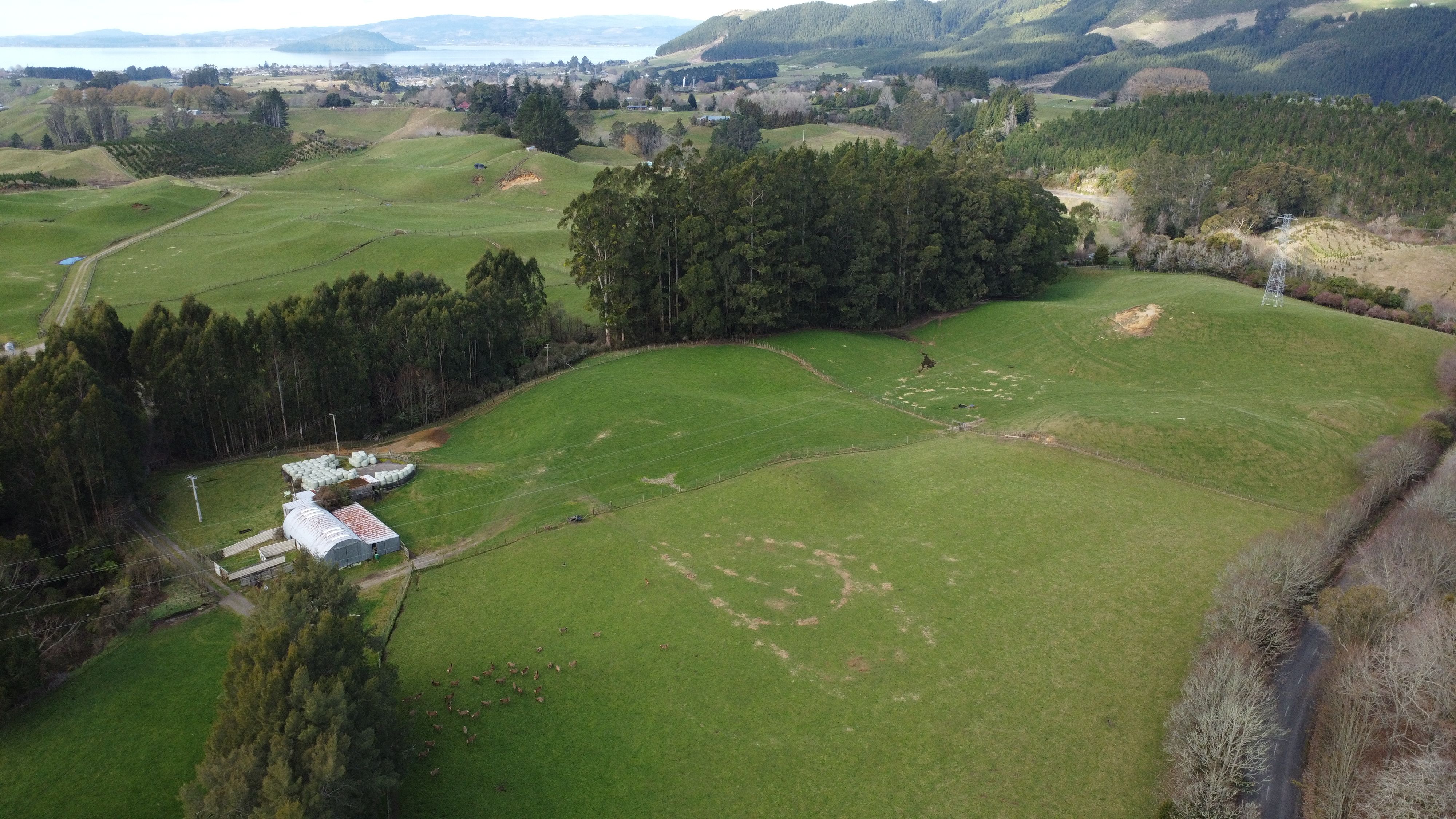 Lot 7 Tarukenga Road, Ngongotaha Valley, Rotorua District