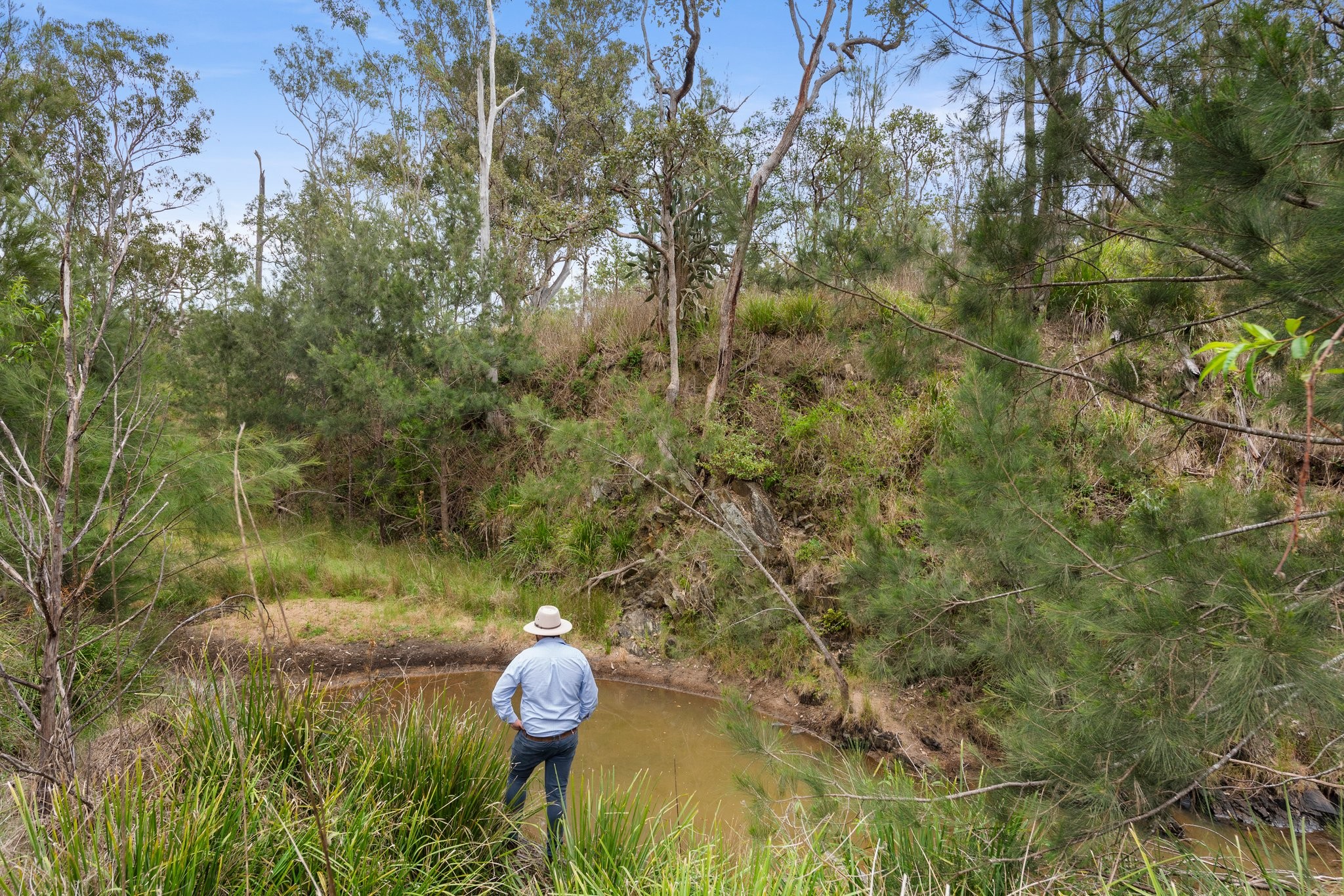 George Road (via Fitch & White Roads), Pierces Creek, QLD 4355
