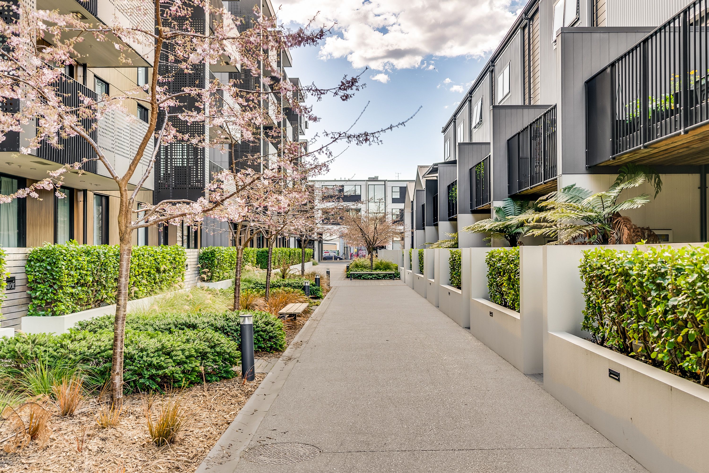 308/36C Welles Street, Christchurch Central, Christchurch City