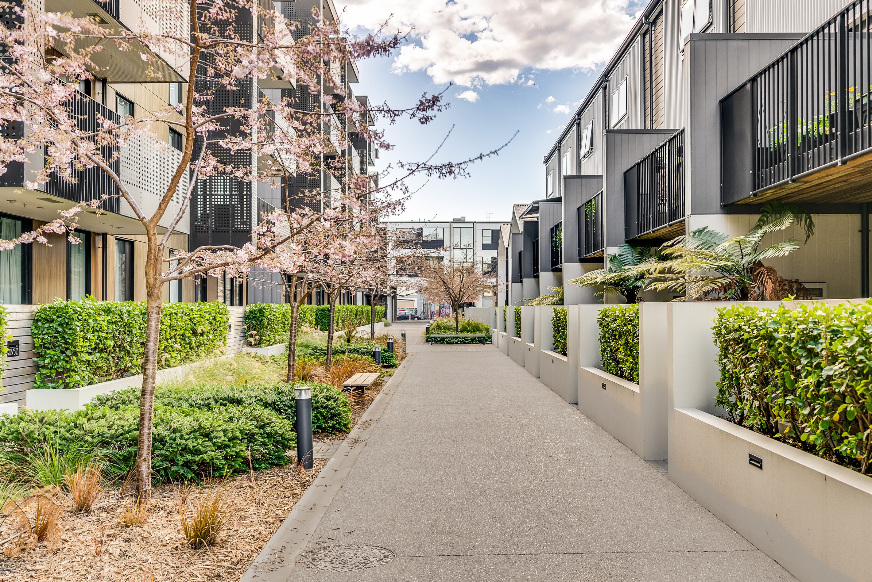 308/36C Welles Street, Christchurch Central, Christchurch City