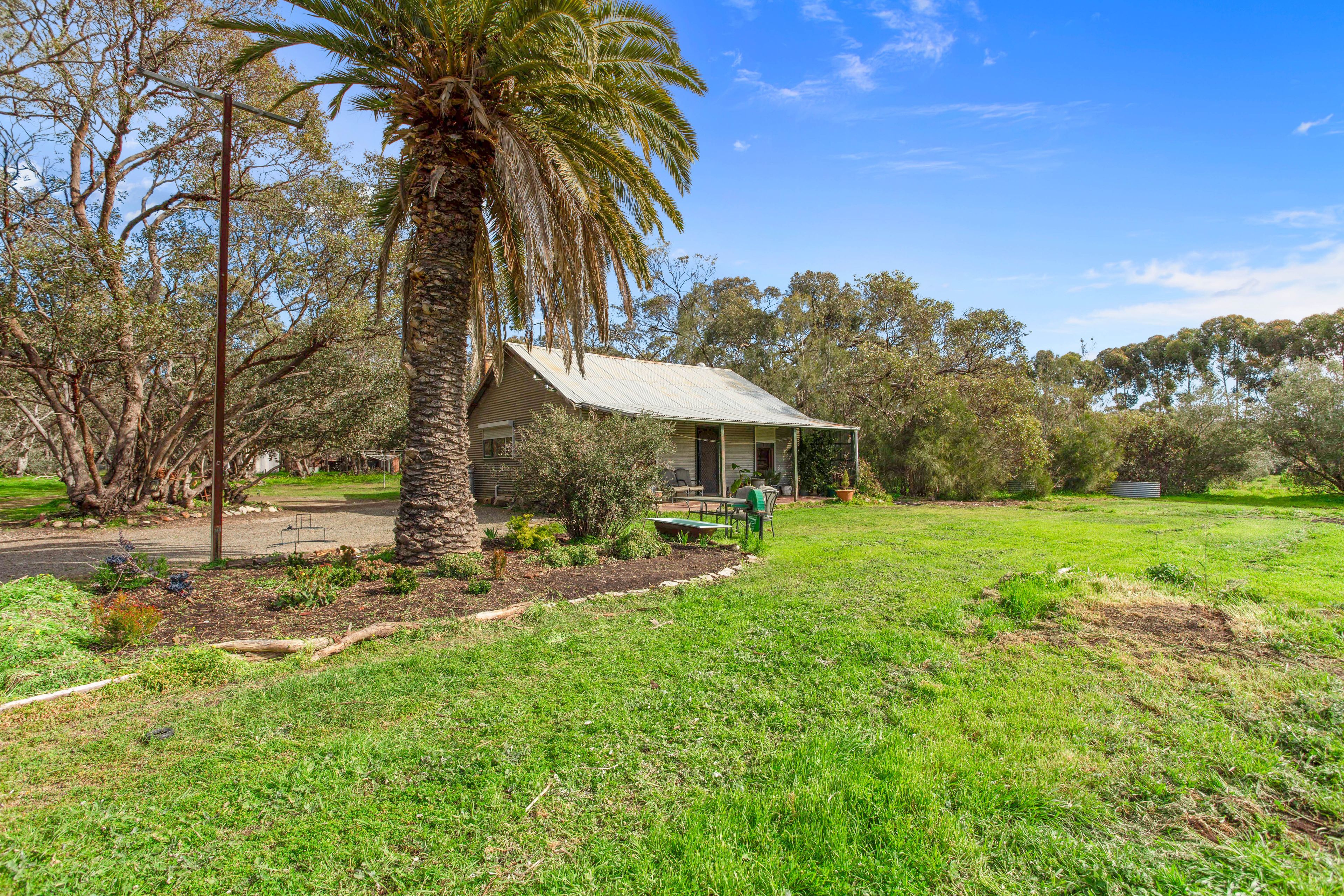 51 Peramangk Road, Nuriootpa, SA 5355