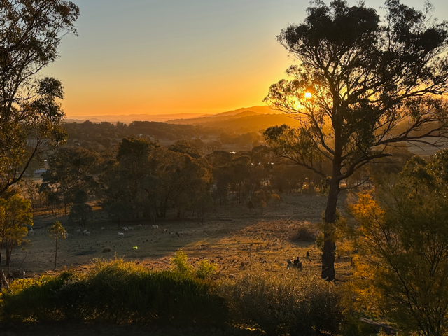 167 Mount Mitchell Road, Invergowrie, NSW 2350