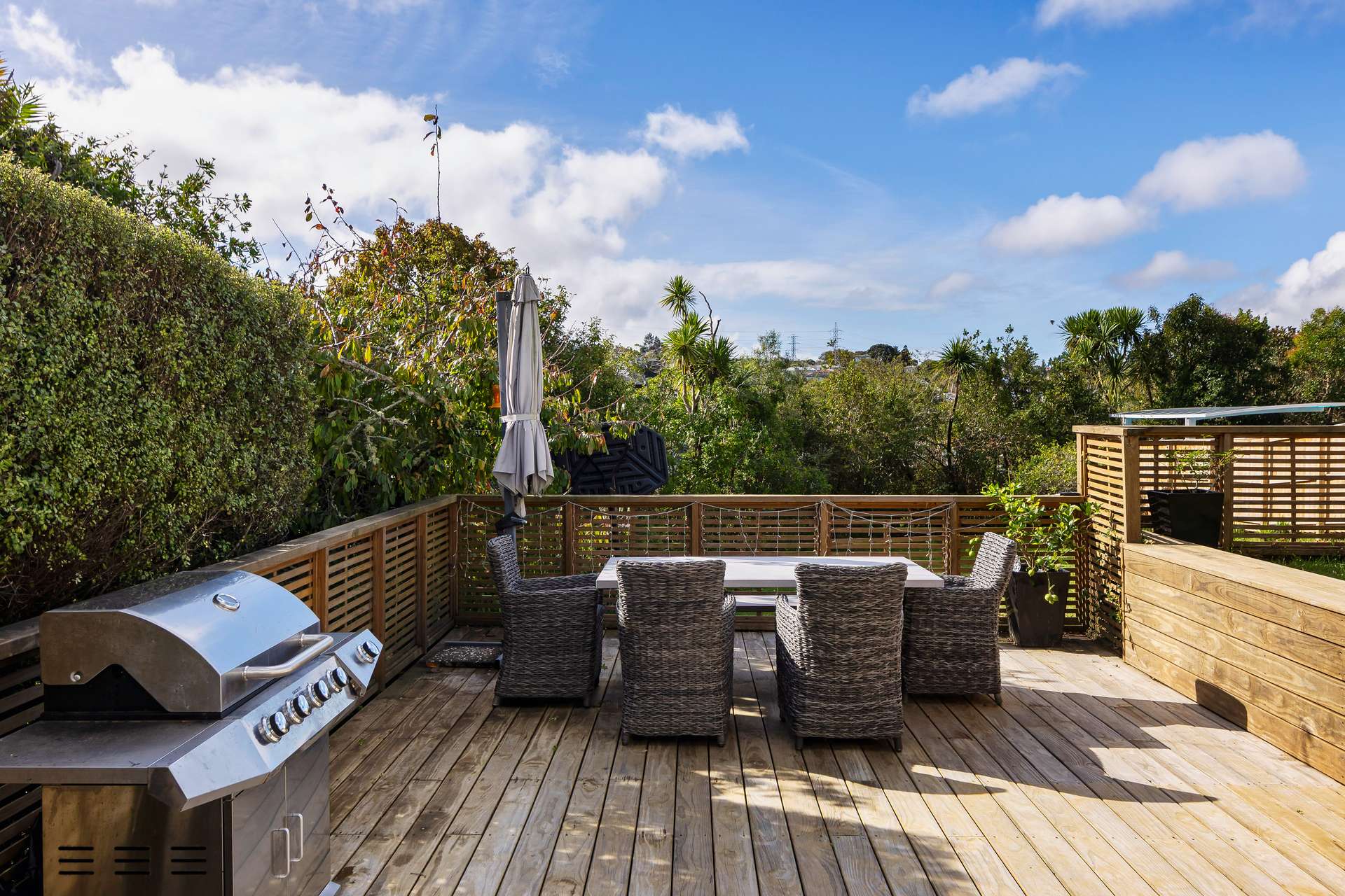 31 Marshall Laing Avenue photo 14
