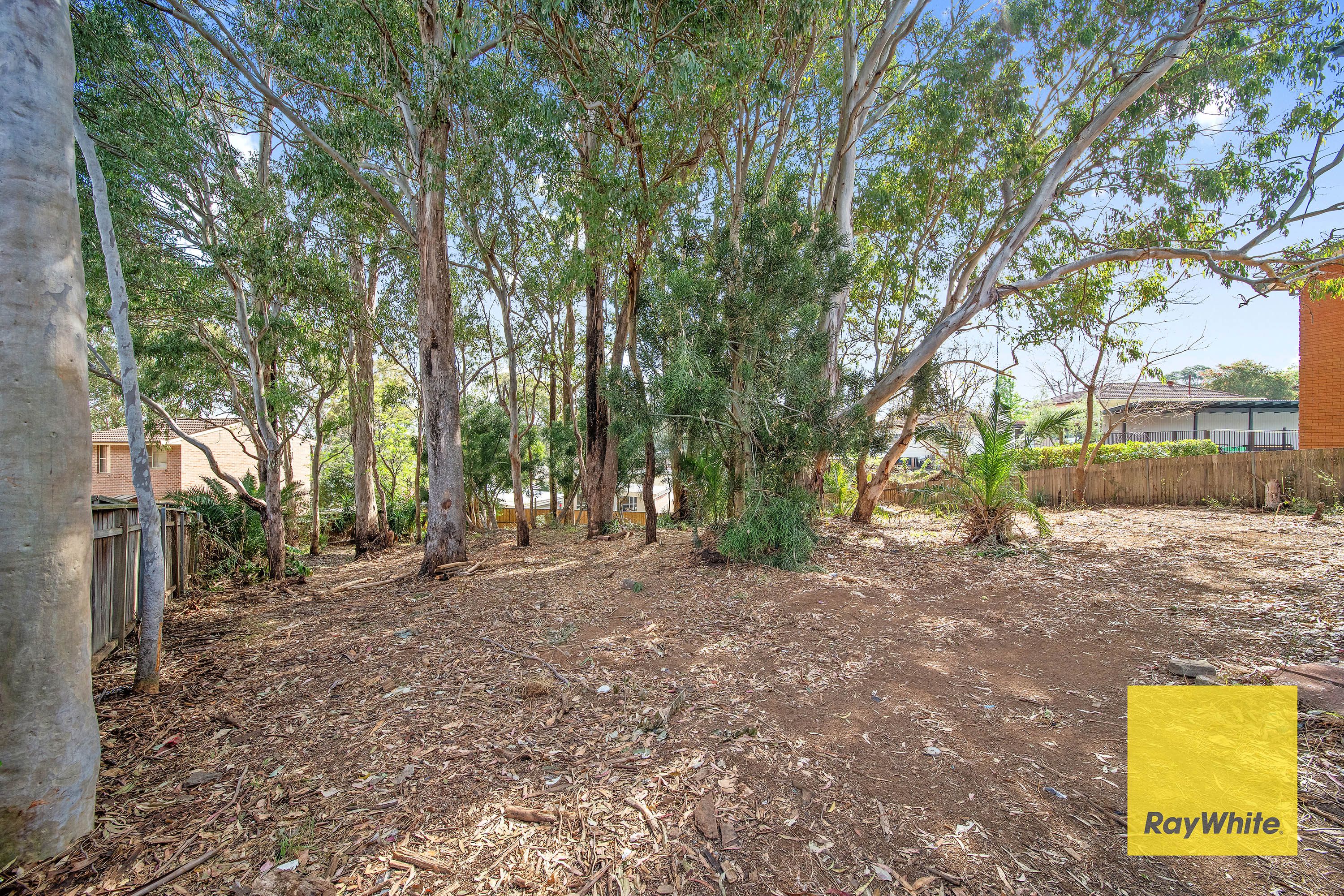 8 Dwyer Crescent — photo 4 of 10