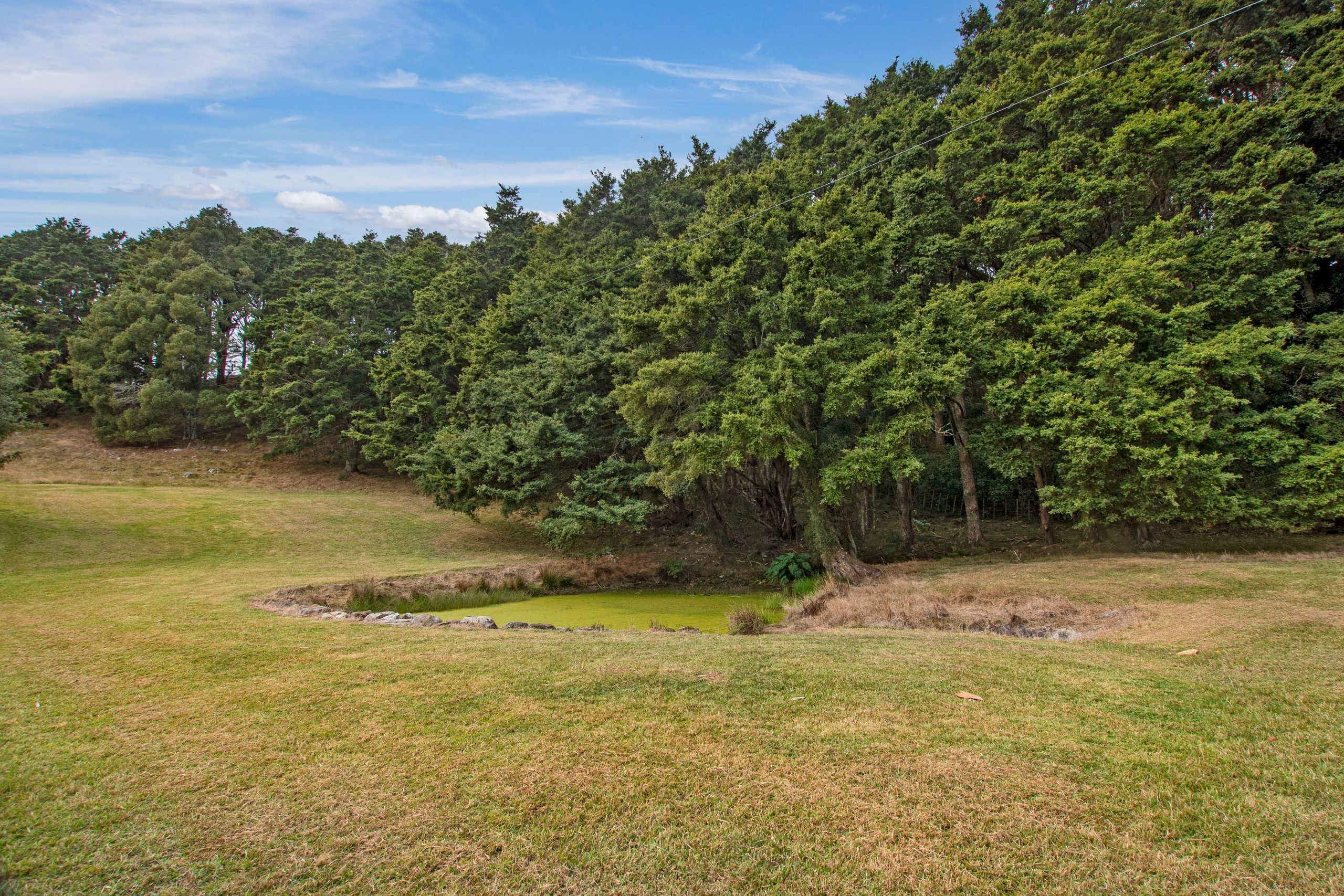 316A Crane Road, Kauri, Whangarei District 0185 Section for Sale Ray White Whangarei