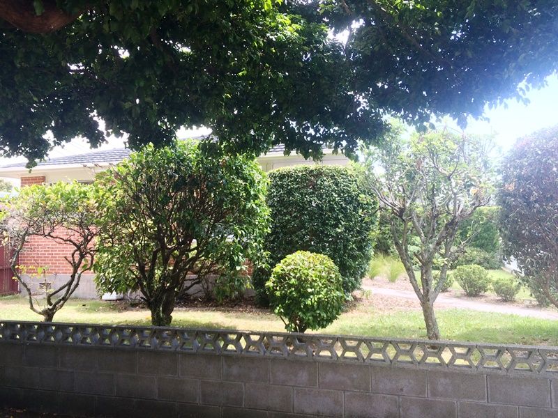 1/19 Matai Road, Greenlane, Auckland City