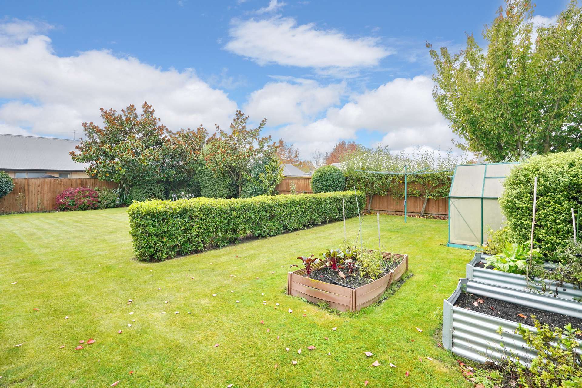 14 Hawthorn Mews photo 18
