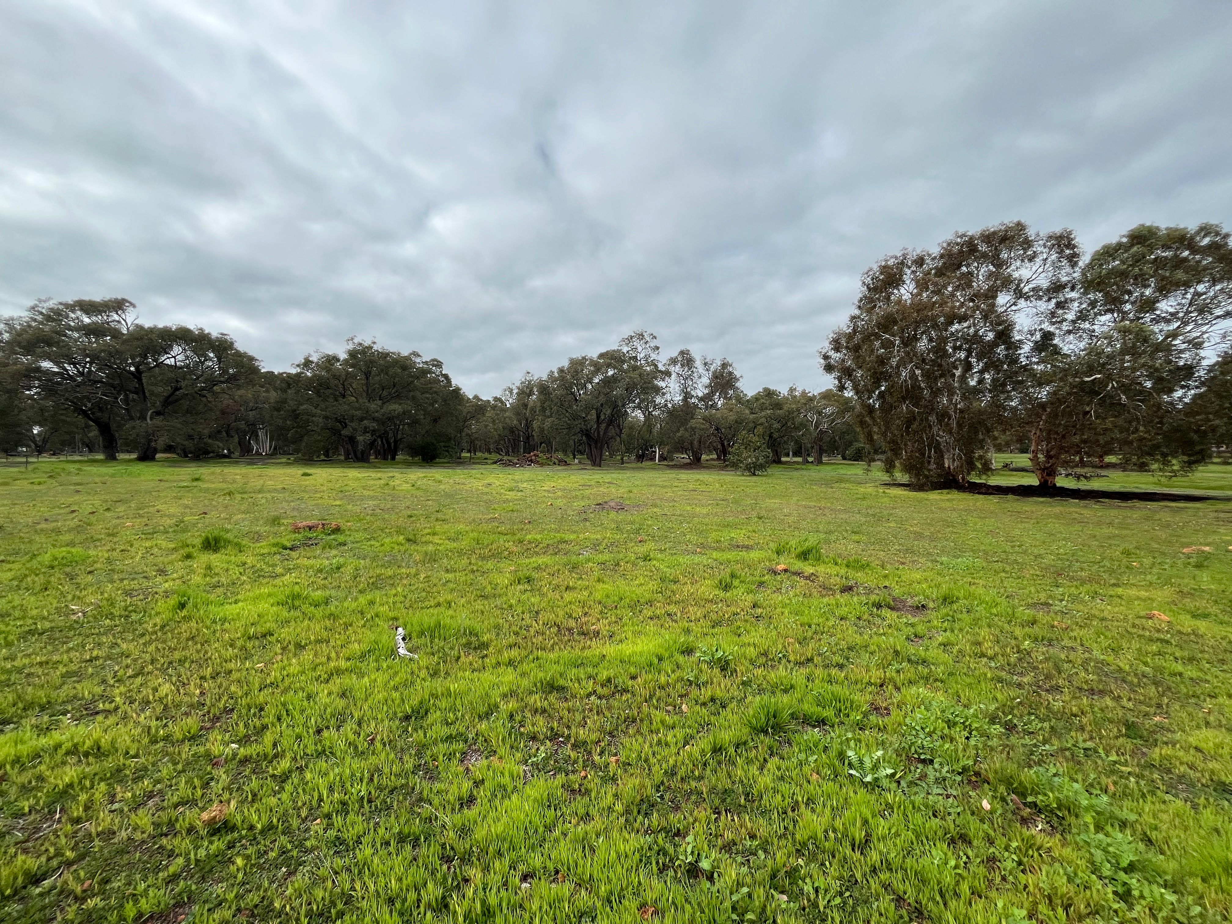 138 Windemere Way, Bindoon WA 6502
