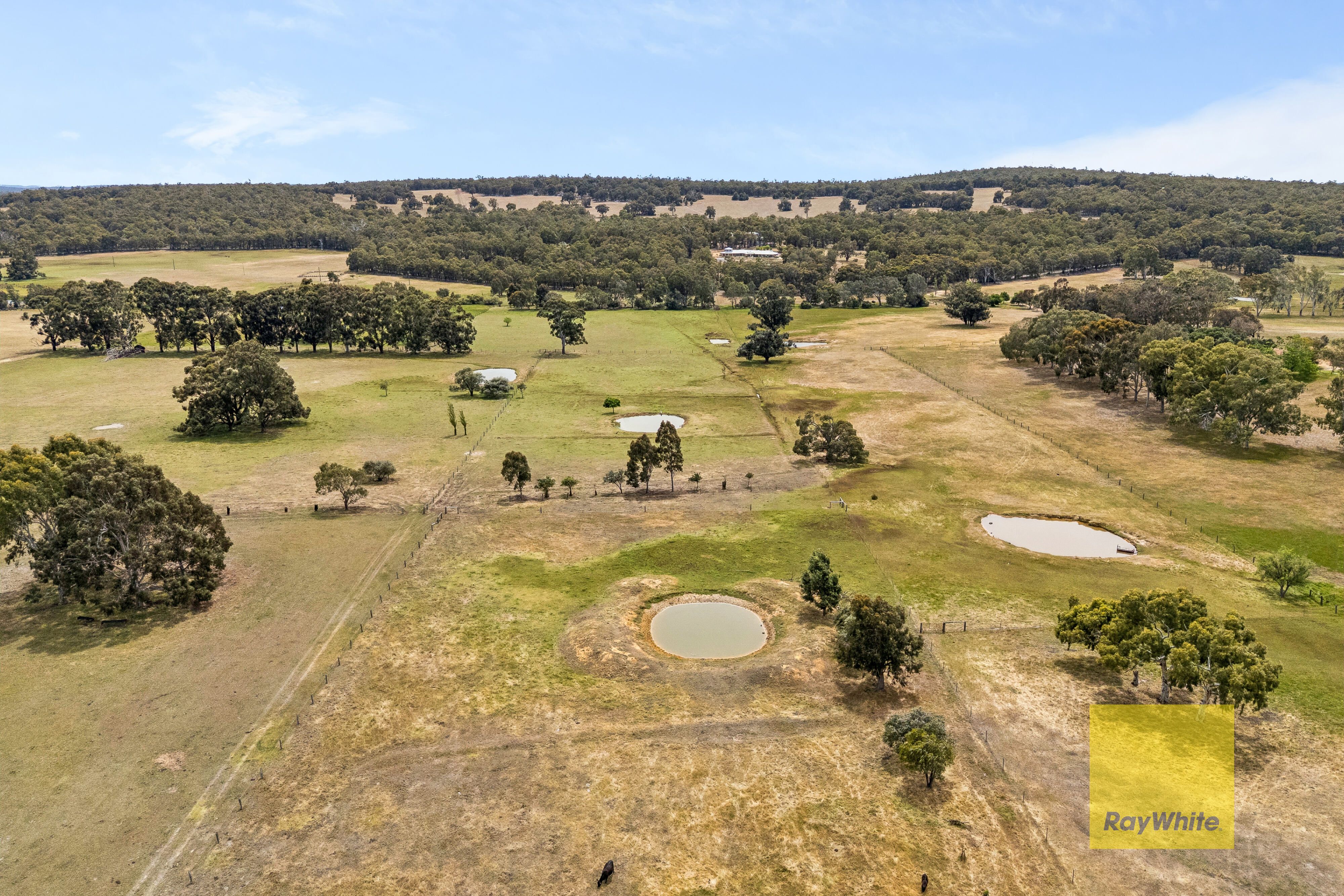 Lot 16 Copley-Dale Road — photo from Ray White Midland & Hills