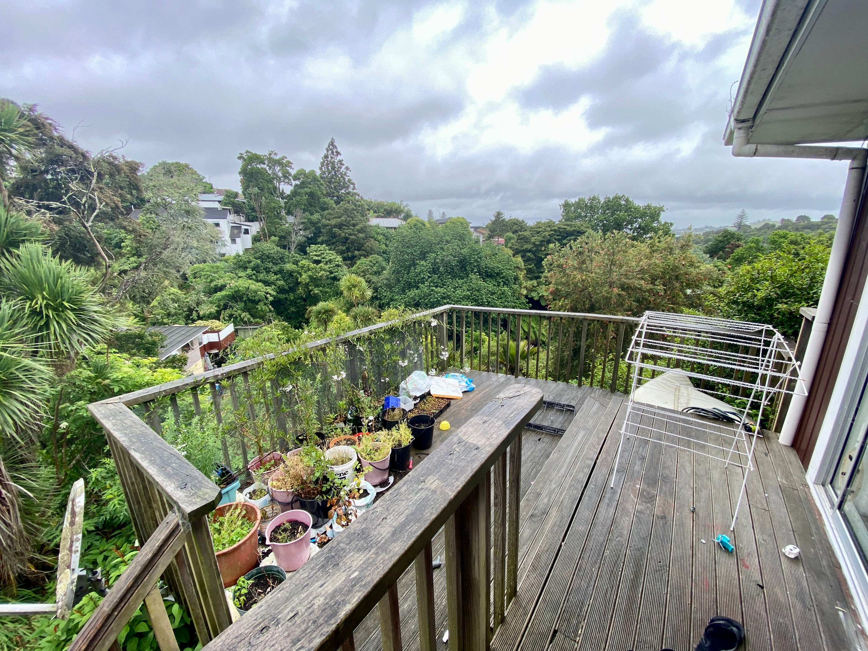 19A Impala Place, Hillsborough, Auckland City