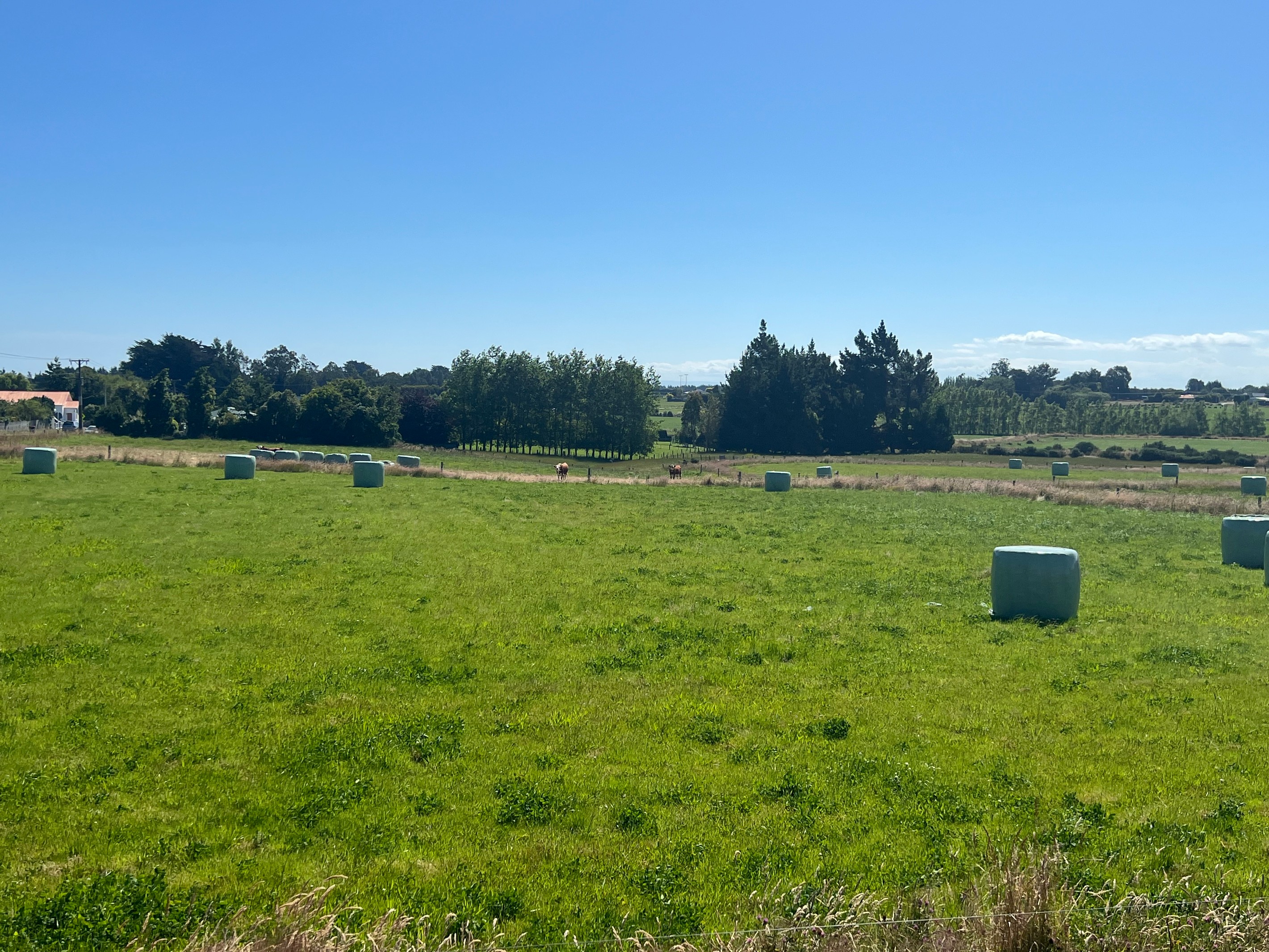 31 Woodlands Morton Mains Road, Woodlands, Southland District