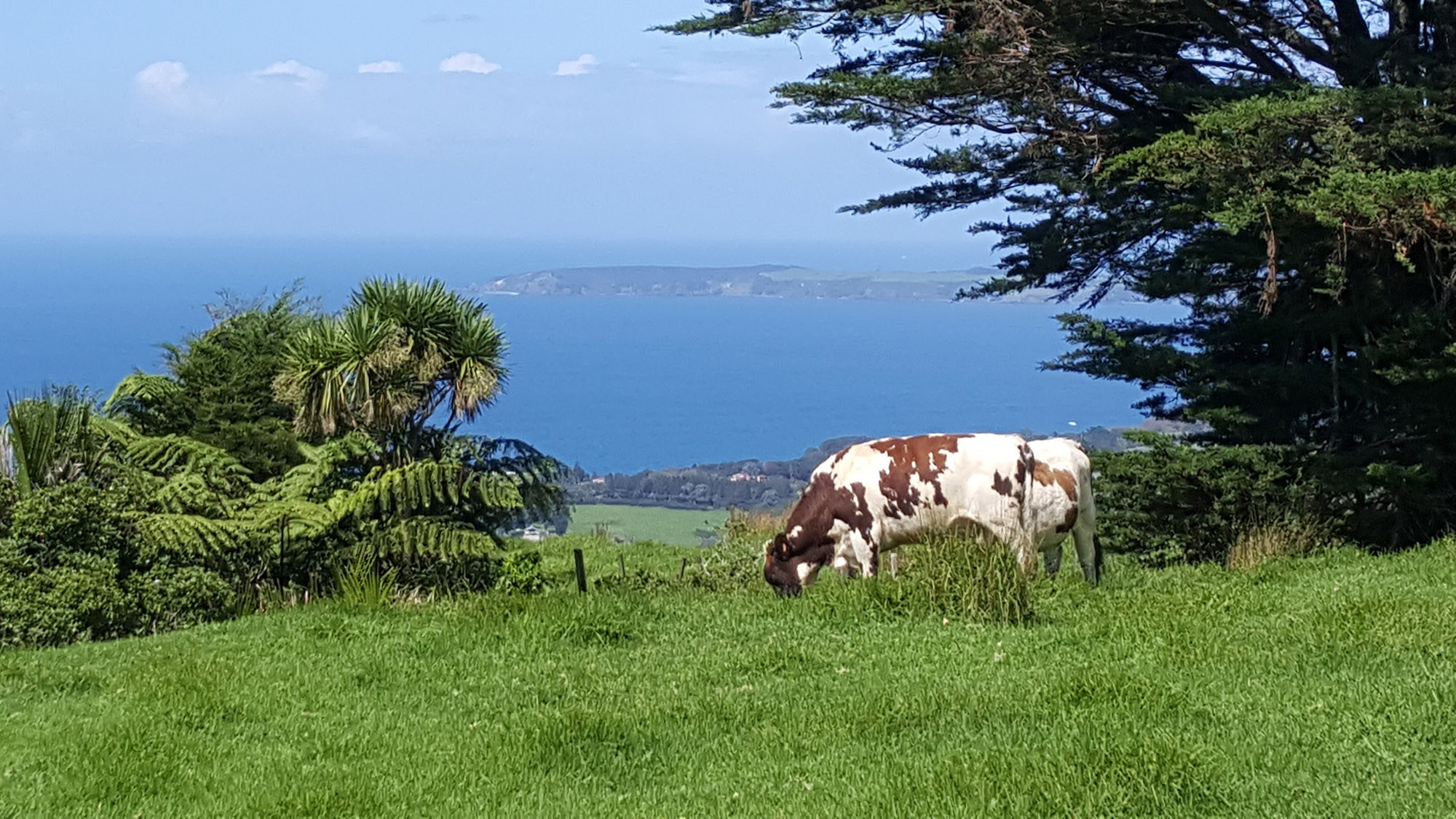 65 Rodney Road, Pakiri, Rodney