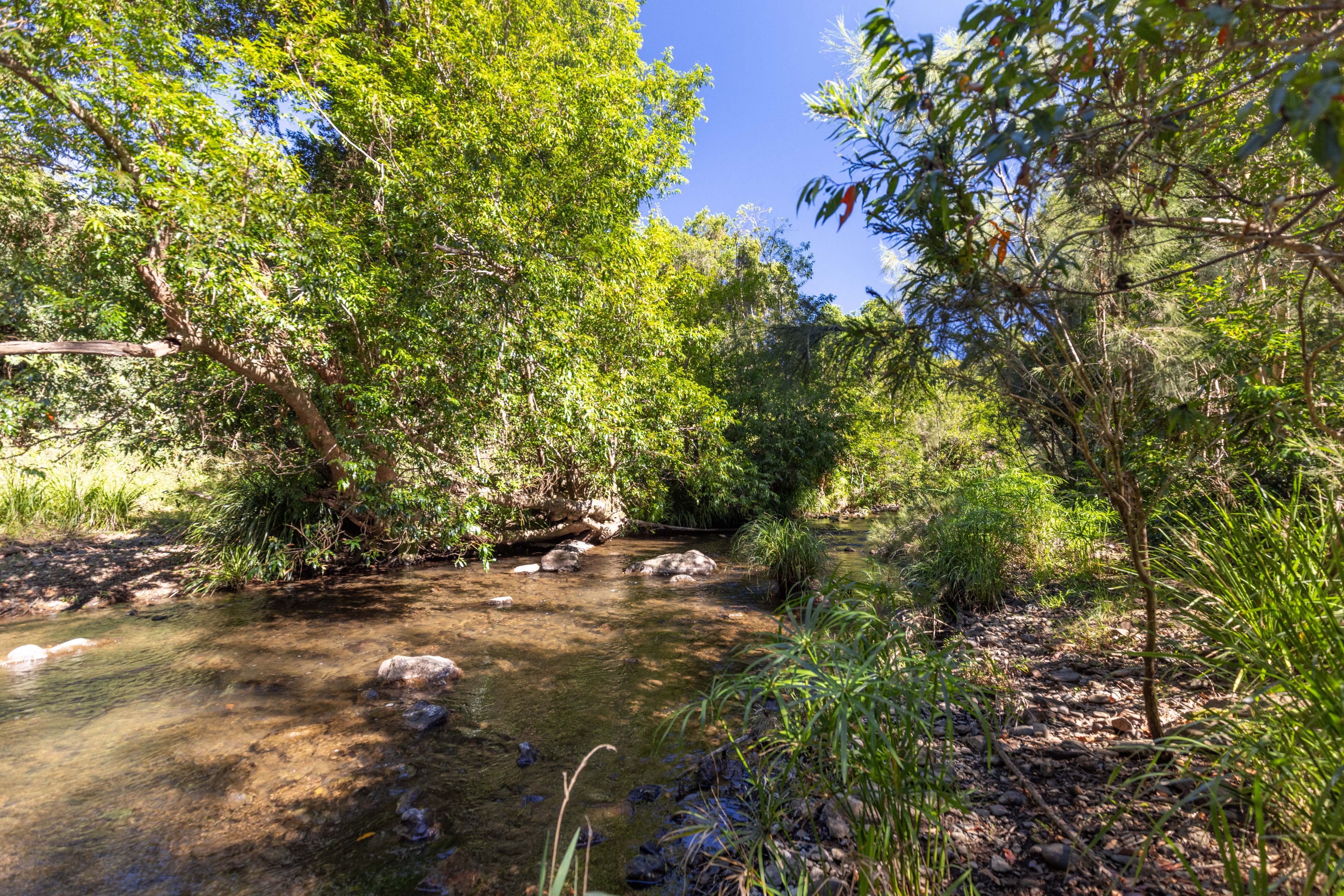 286 Amamoor Creek Road, Amamoor, QLD 4570 Acreage/SemiRural for Sale