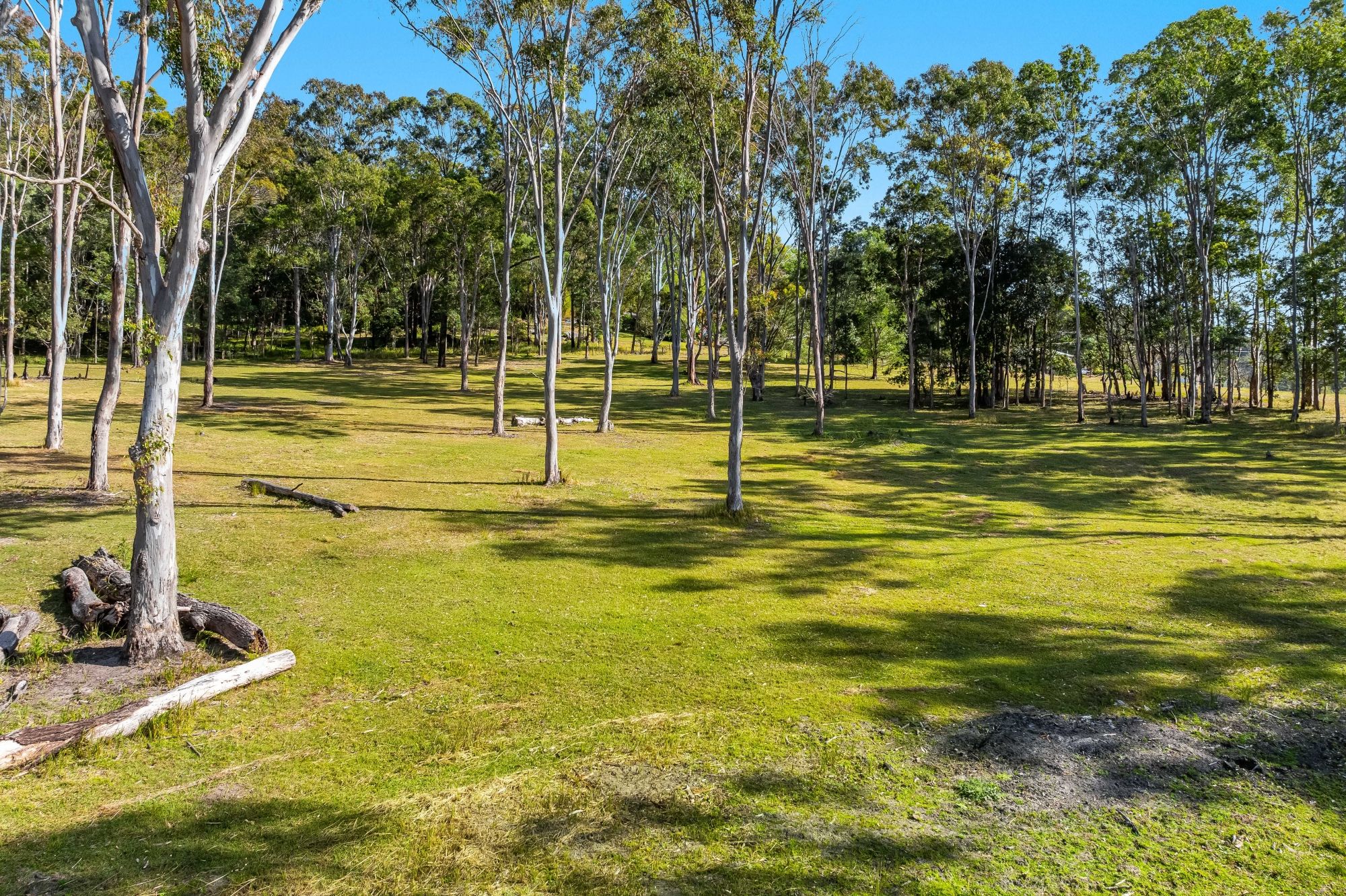 Lot 102 Clarence Street, Ilarwill, NSW 2463
