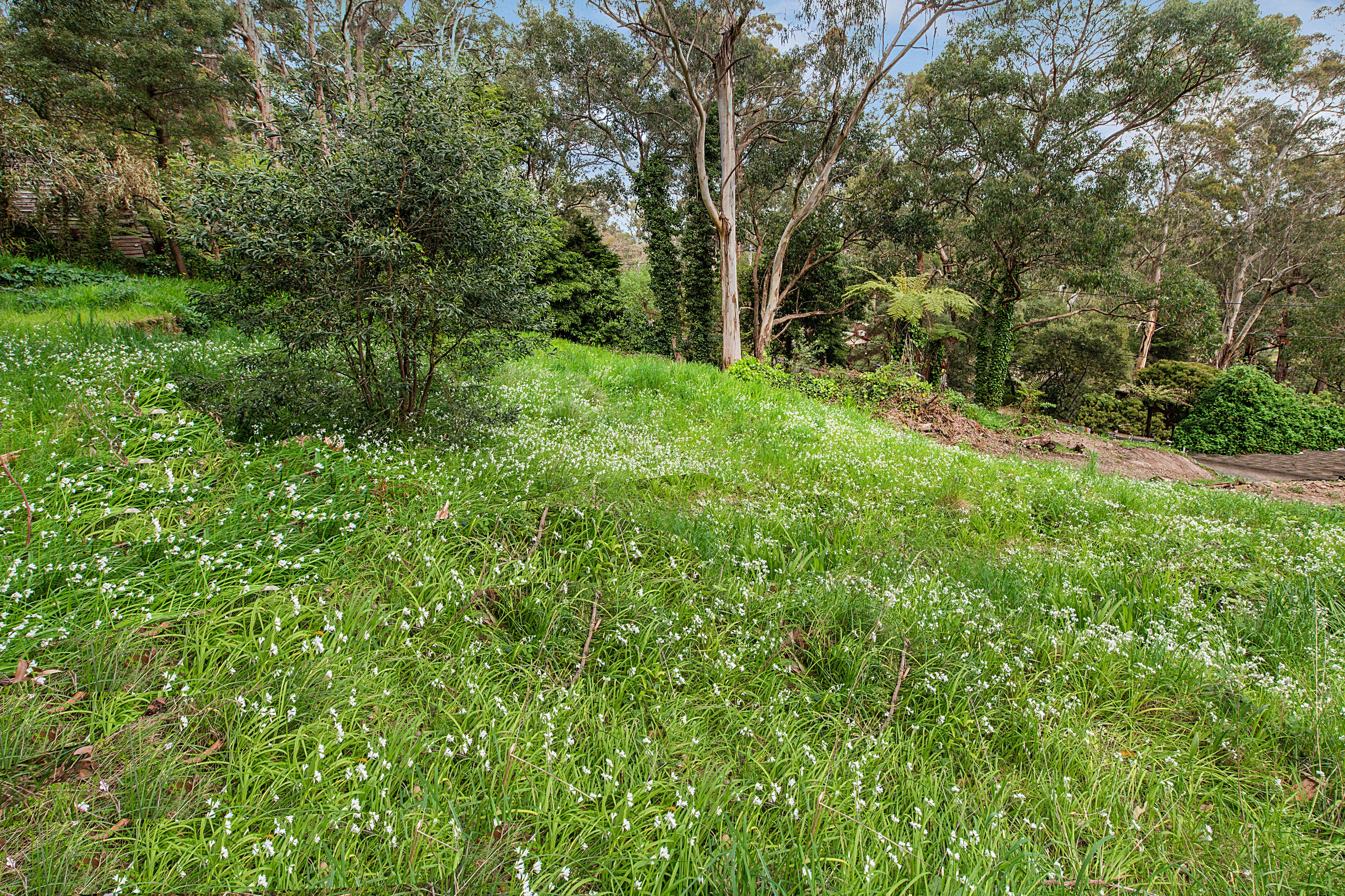 13 Belbrook Road, Upwey, VIC 3158