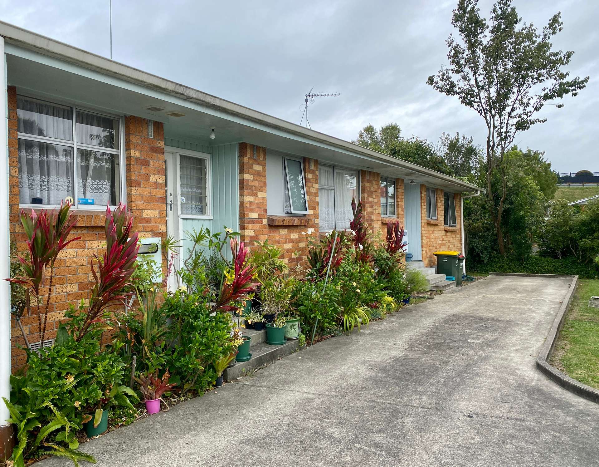 12b Kowhai Street photo 0