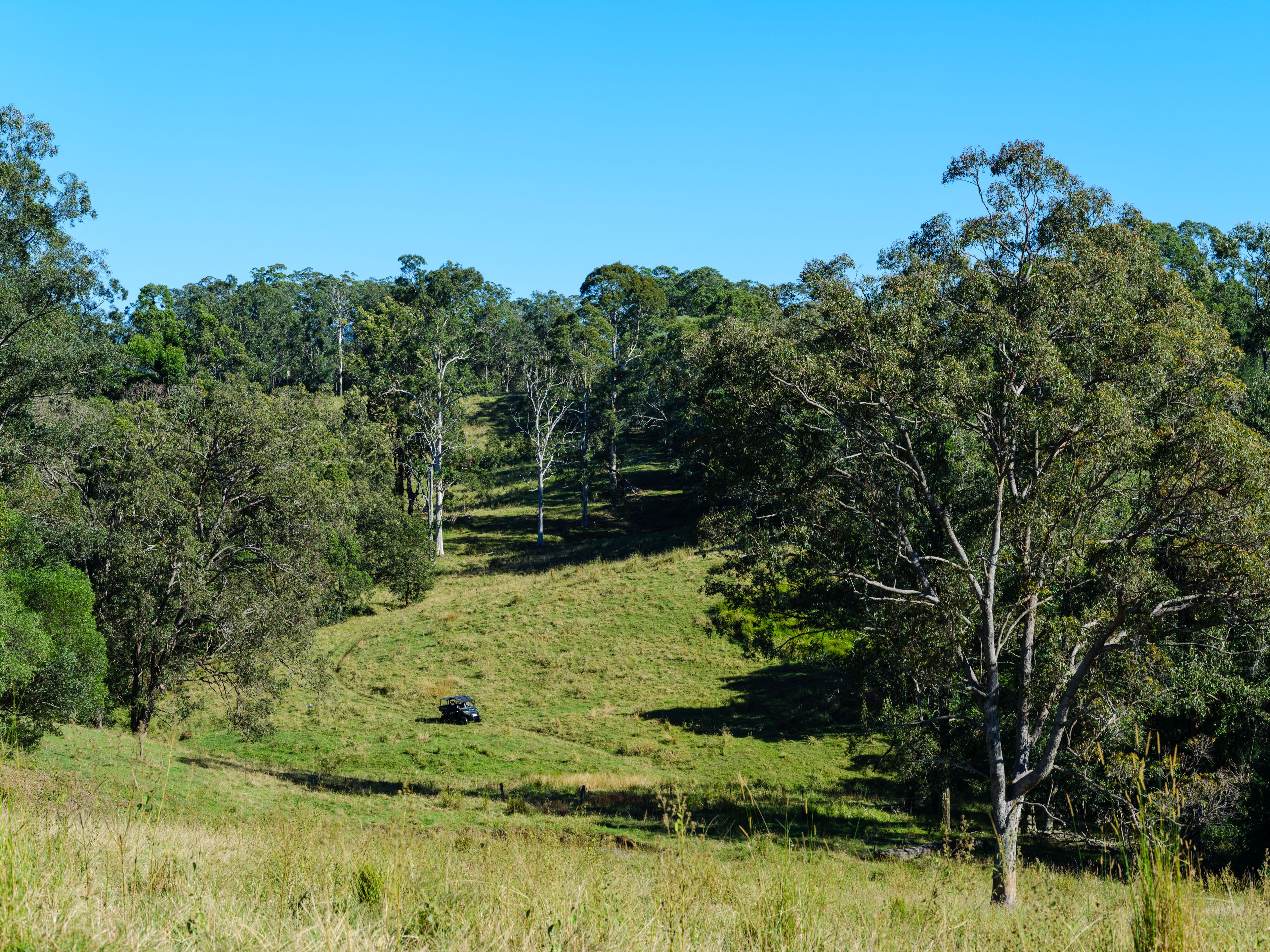 'The Stock Route' — photo 6 of 19