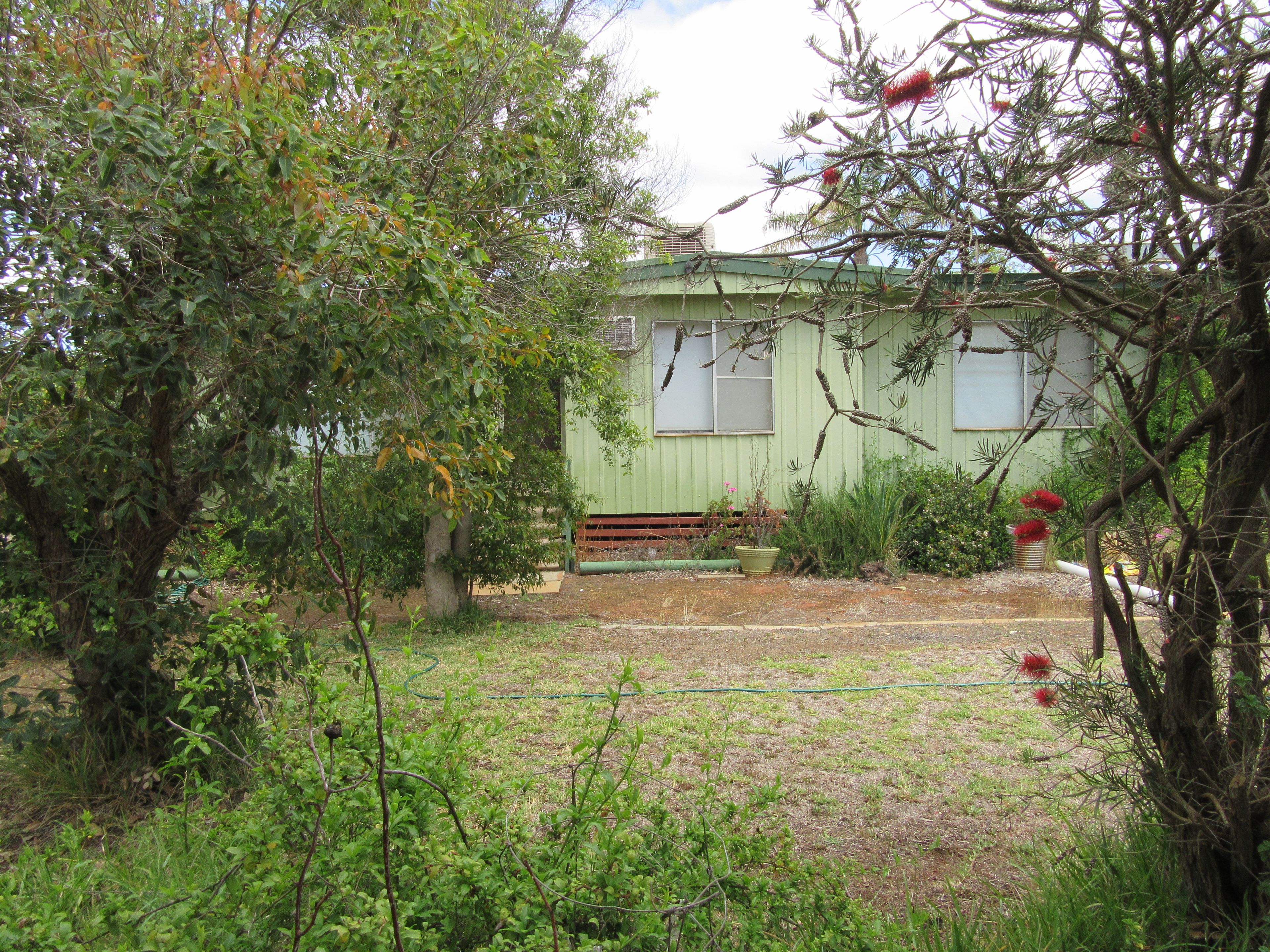 50 Williamson Street, Three Springs, WA 6519