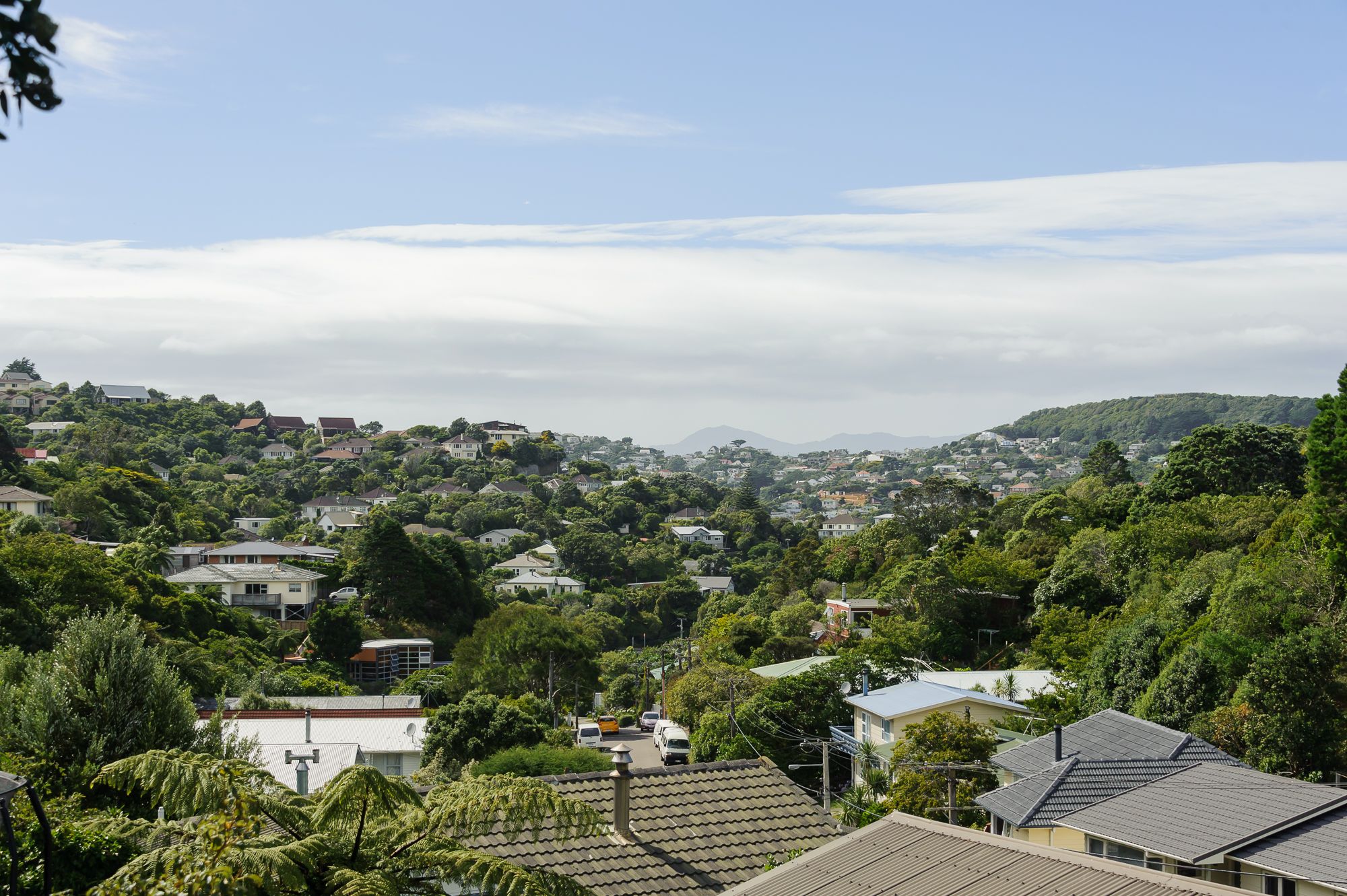 112 Awarua Street, Ngaio, Wellington City