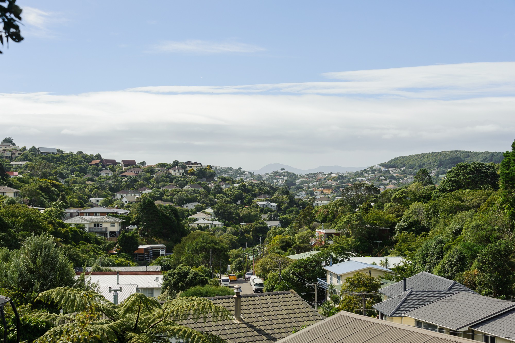 112 Awarua Street, Ngaio, Wellington City