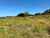 1391 Kaipara Hills Road photo 4