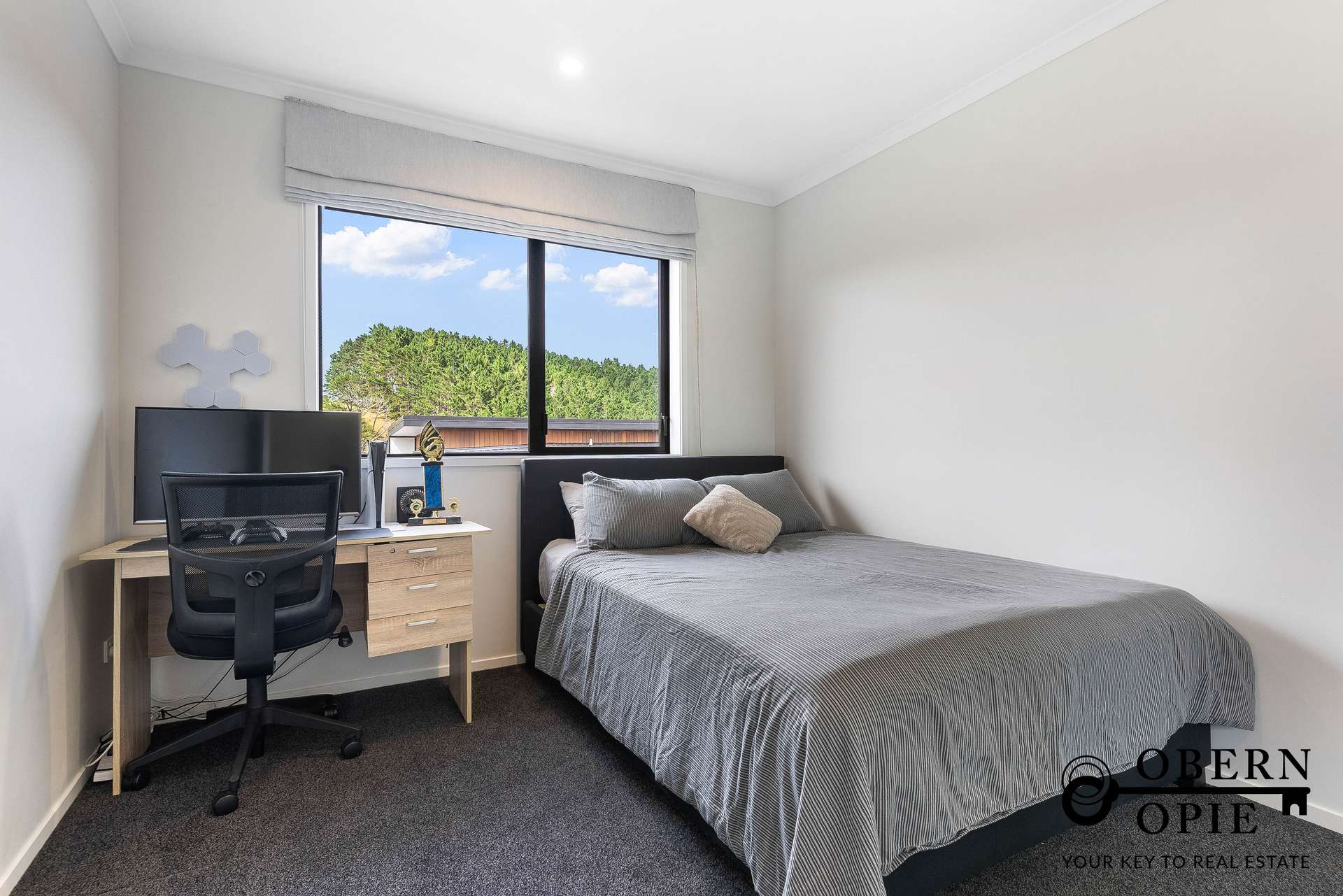 12 Eckford Lane photo 20