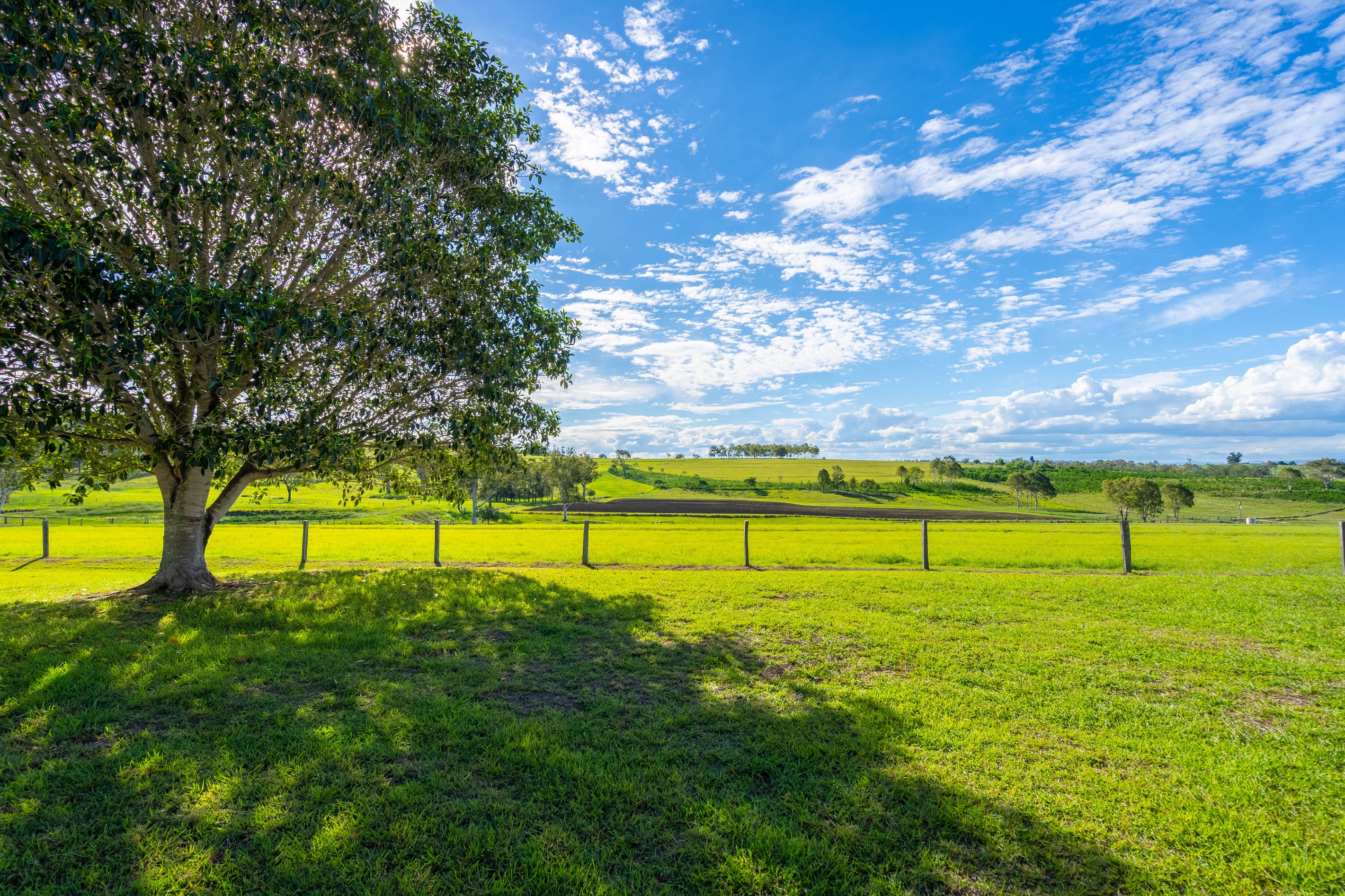 274 Kruger Road, Mutdapilly, QLD 4307