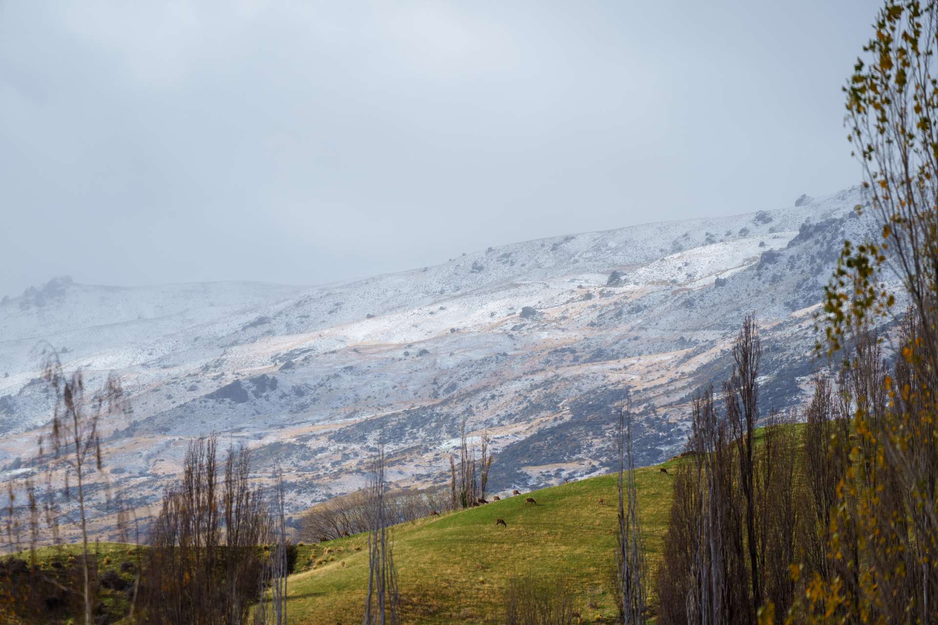 8/2352 Cardrona Valley Road photo 6