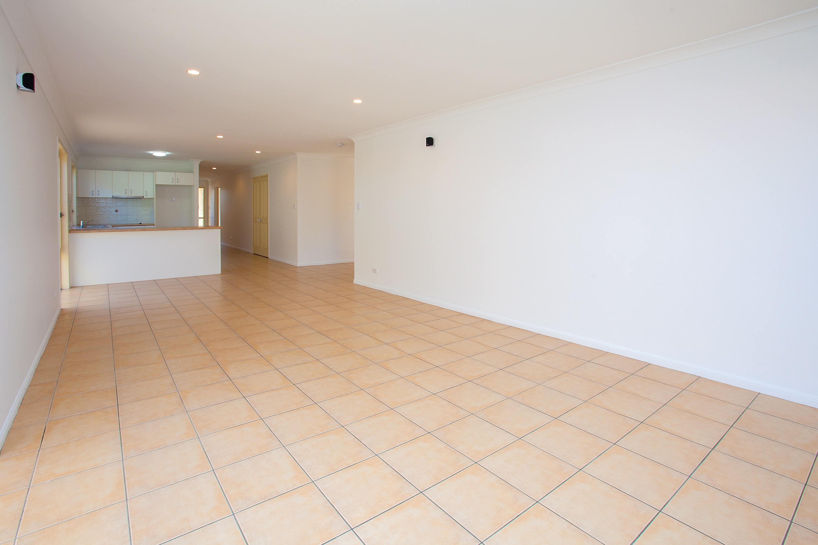 66 Jezabel Drive, Springfield Lakes, QLD 4300