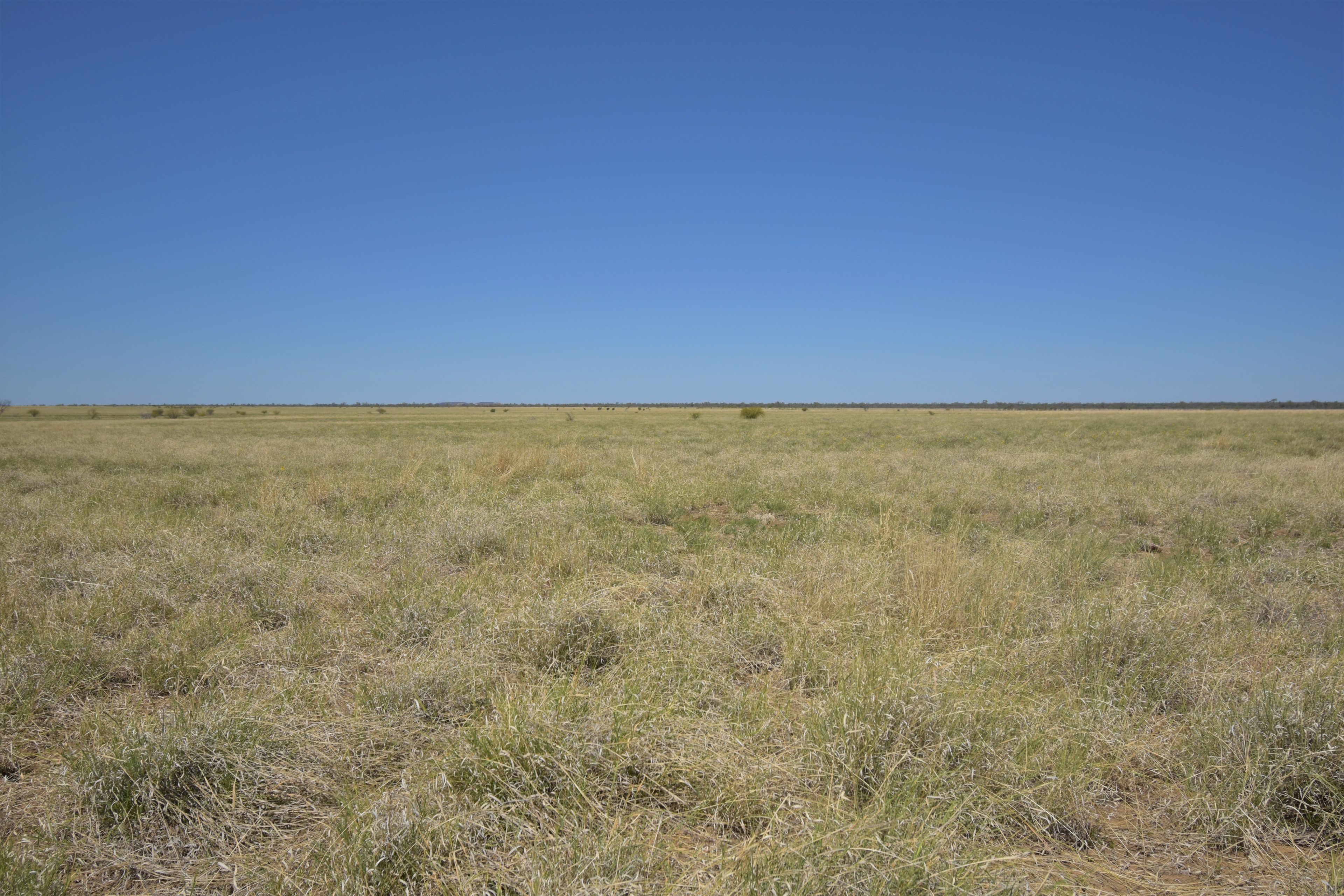 "Leebrook" Muttaburra, QLD 4732 Sold Rural Livestock Property Ray