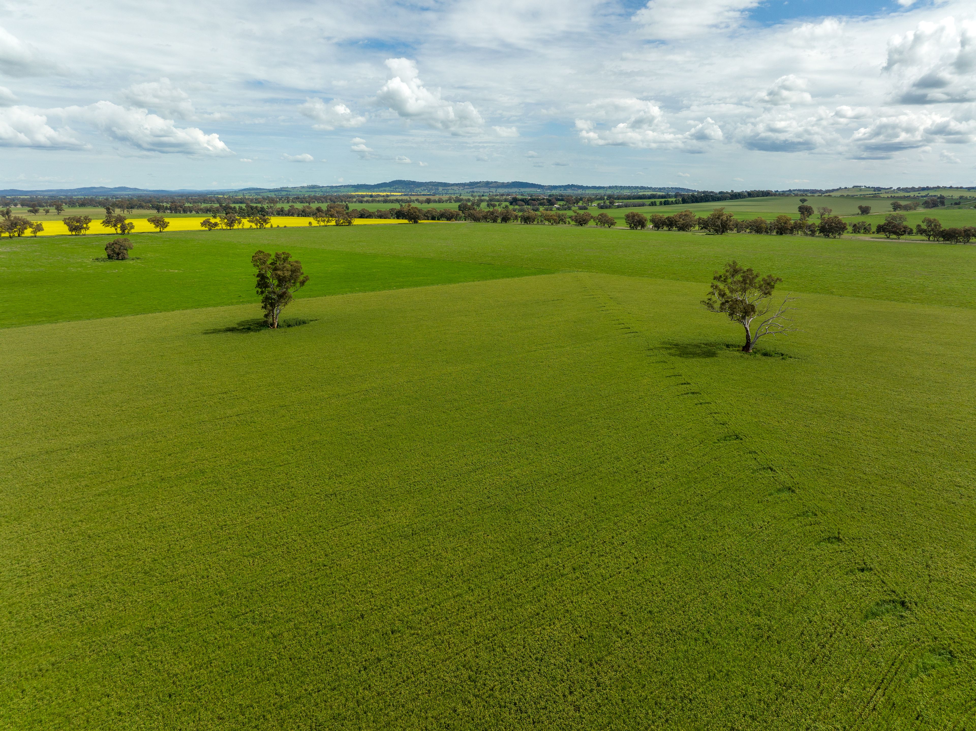 "Raygarth" 417 Donohoes Lane, Downside, via, Wagga Wagga, NSW 2650