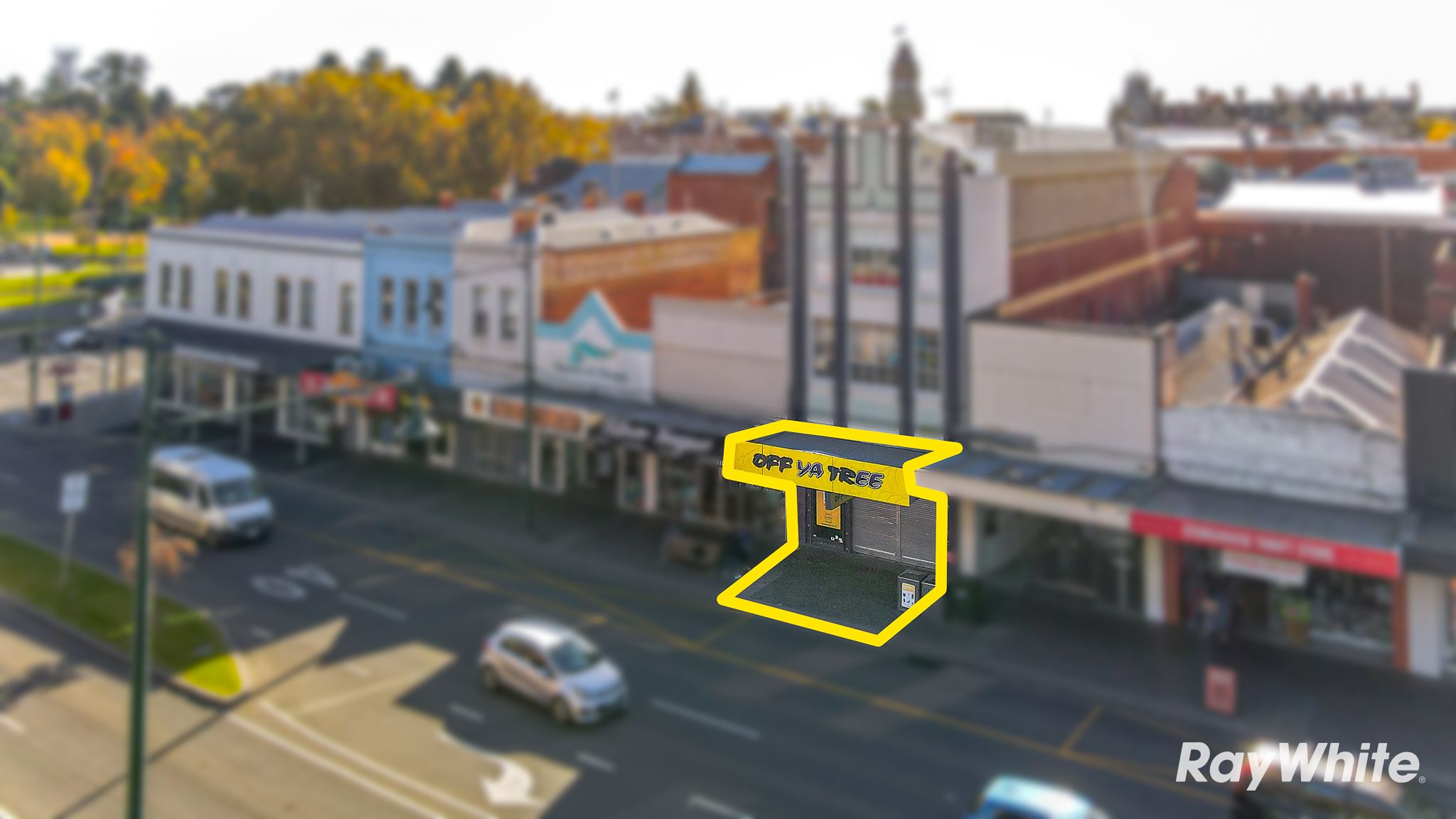 13 Mitchell Street, Bendigo, VIC 3550