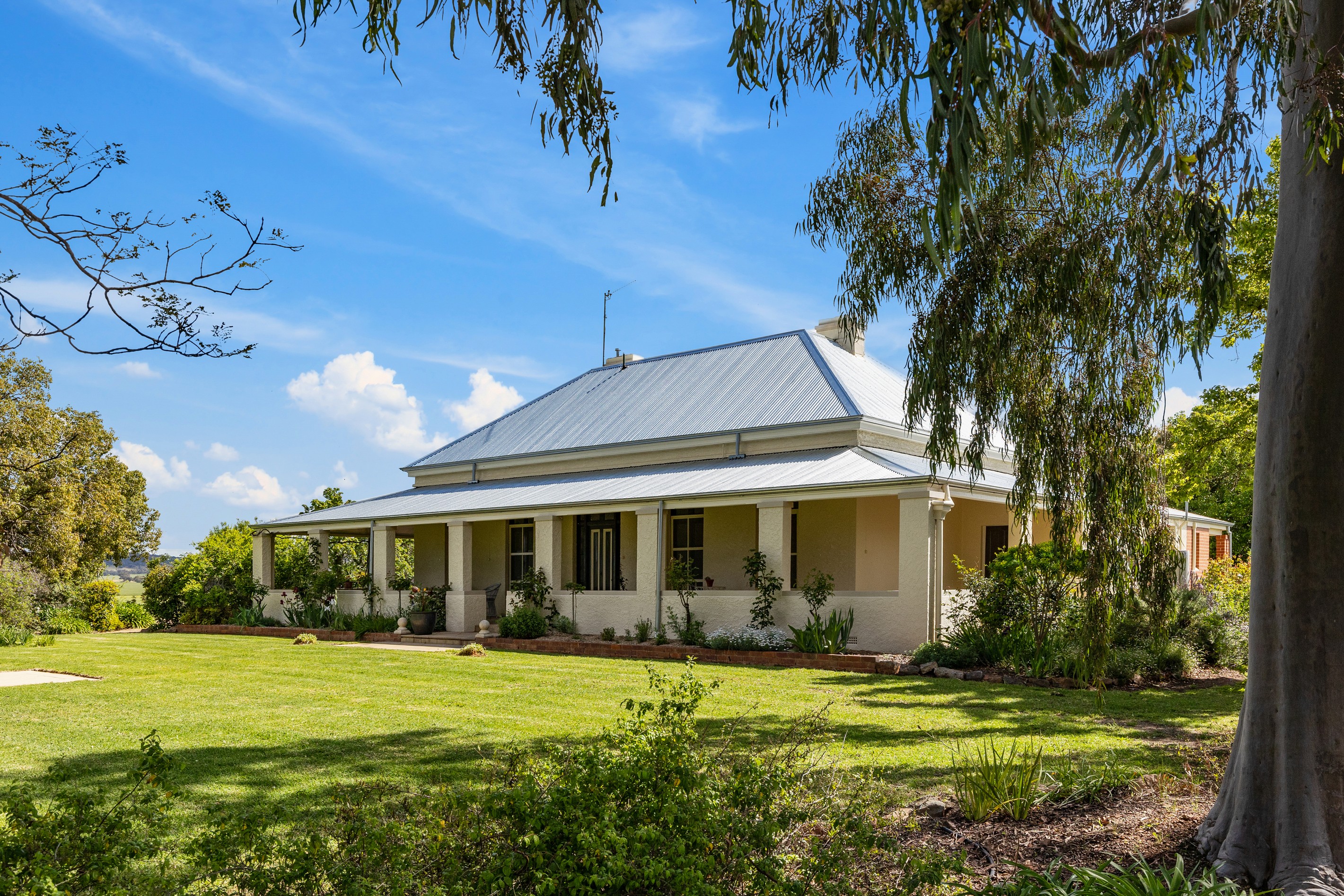 559 The Rock Mangoplah Road, The Rock, NSW 2655