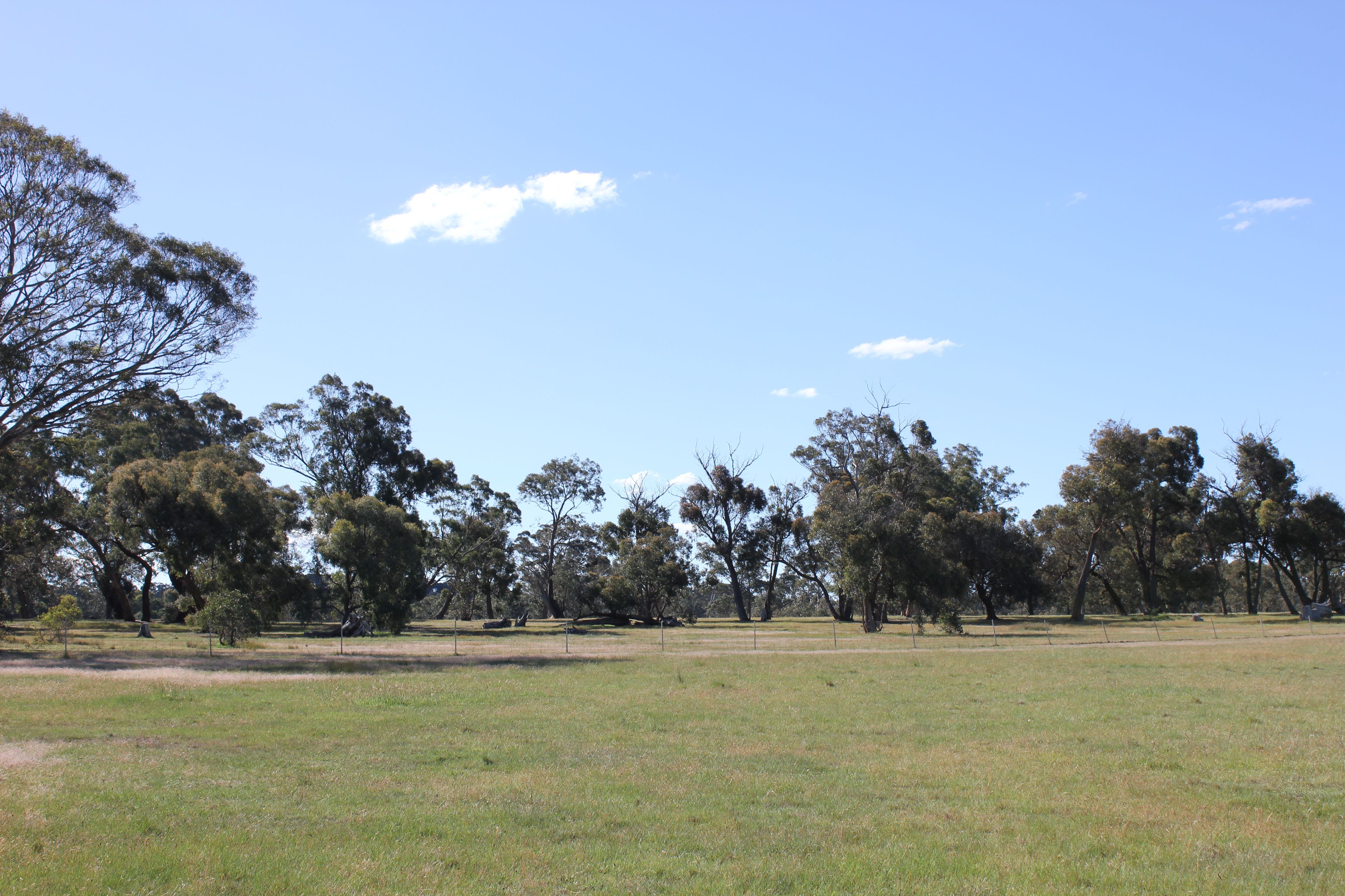 Lot 46 & 47 Pollards Road, ELPHINSTONE, VIC 3448