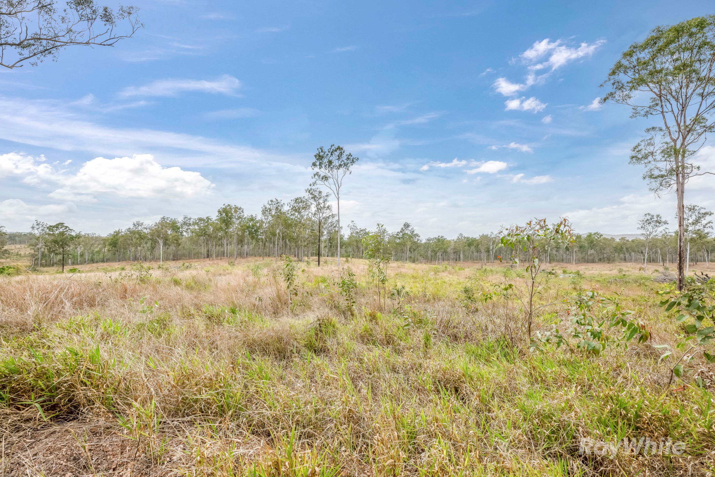 Lot 43 Moolyung Road — photo 17 of 29