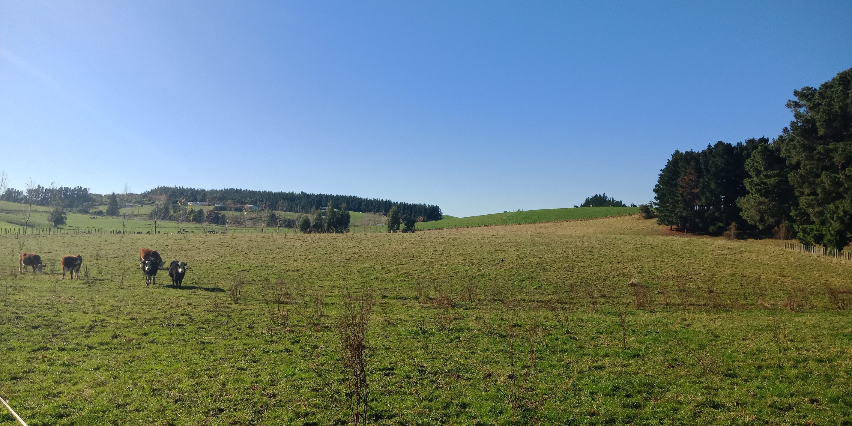 129 Woodlands Road, Carterton, Carterton District