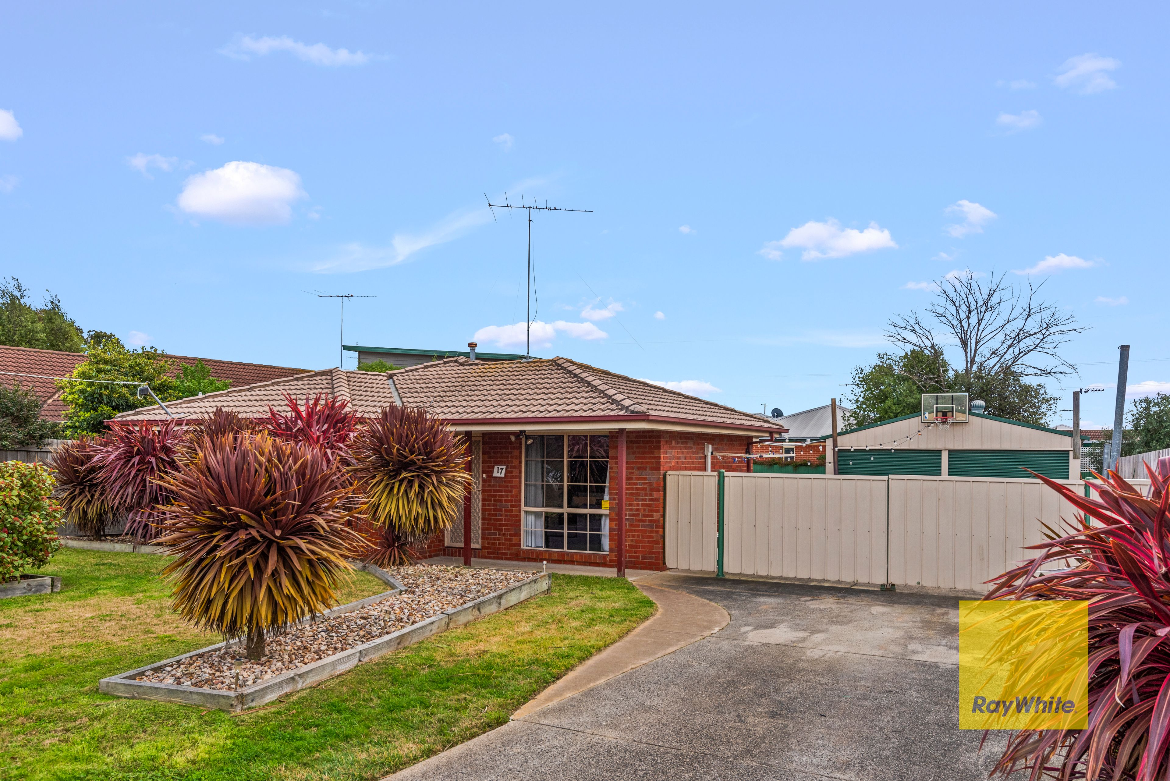 17 Jenolan Avenue, Grovedale VIC 3216