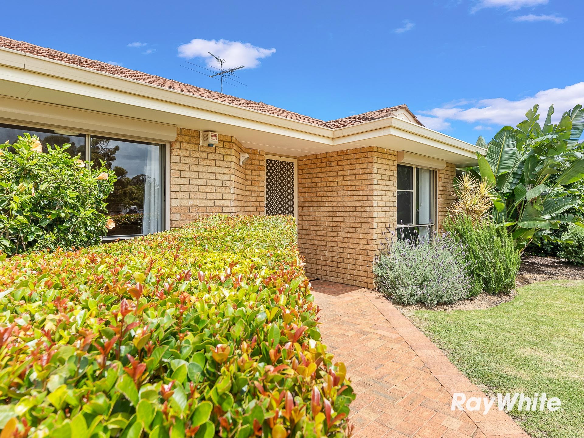 5 Maitland Close, Halls Head, WA 6210