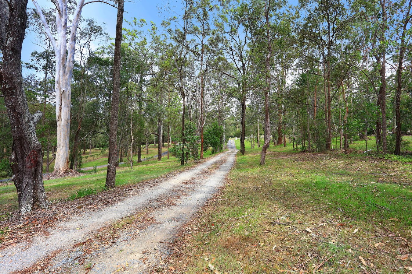 310 Gilston Road, Nerang, QLD 4211
