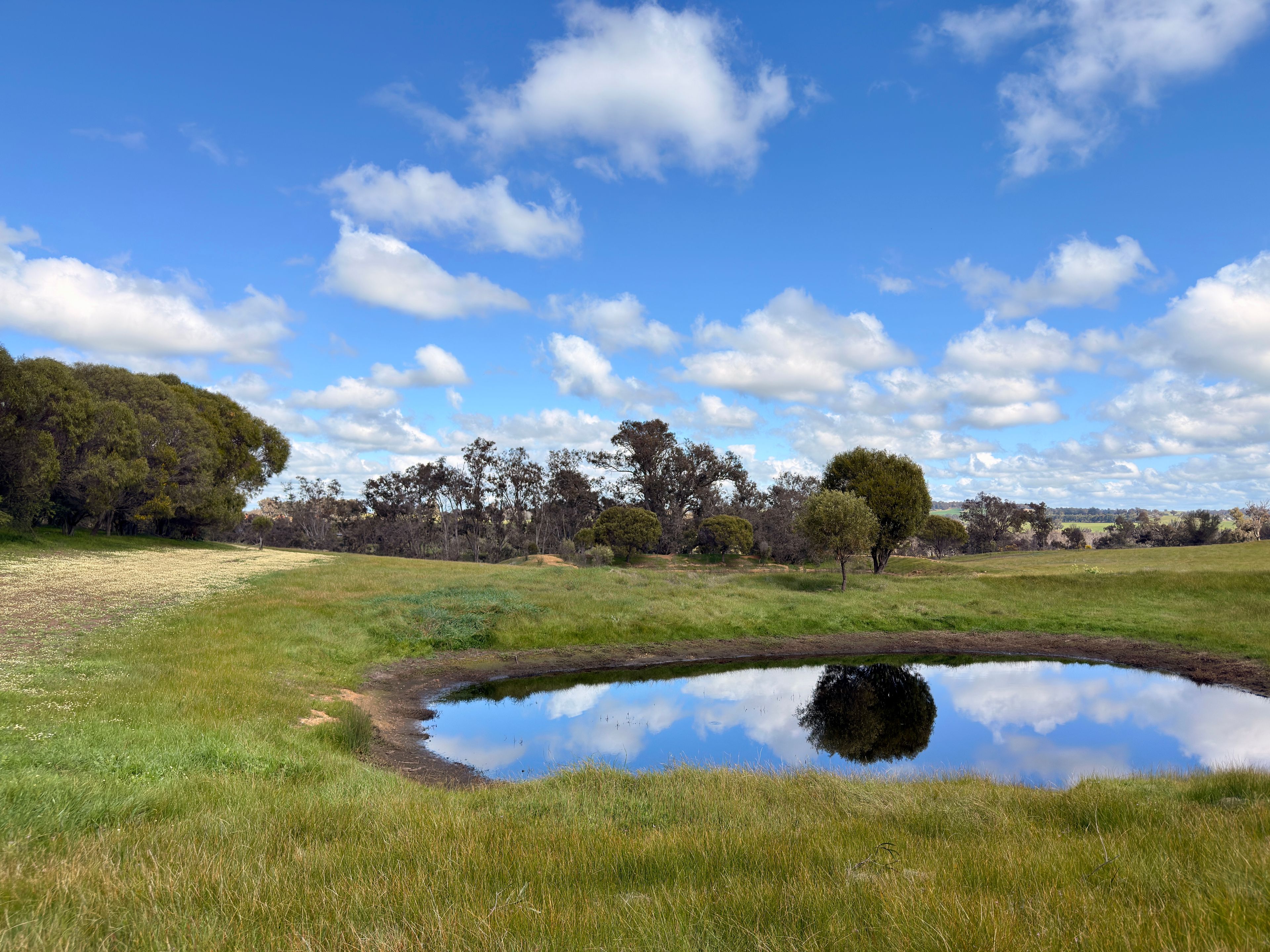 Lot 100 Area Road — photo 11 of 17